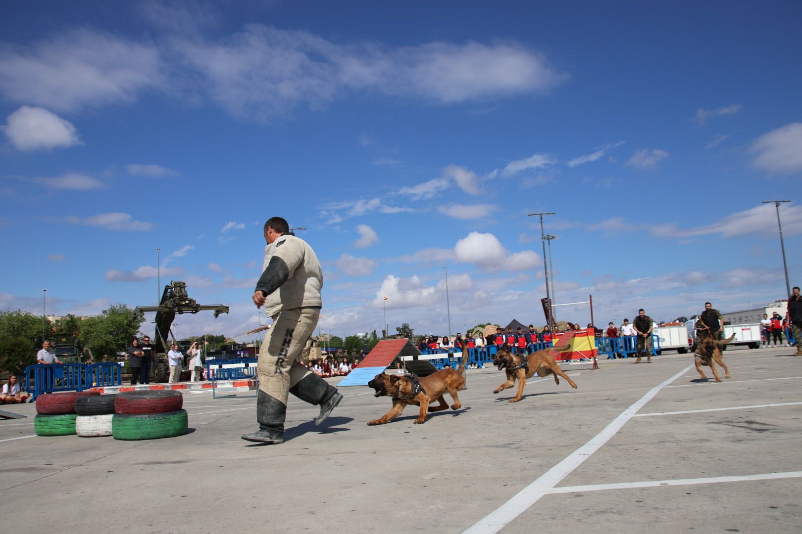 Centro militar de Cría Caballar de Ávila 0395