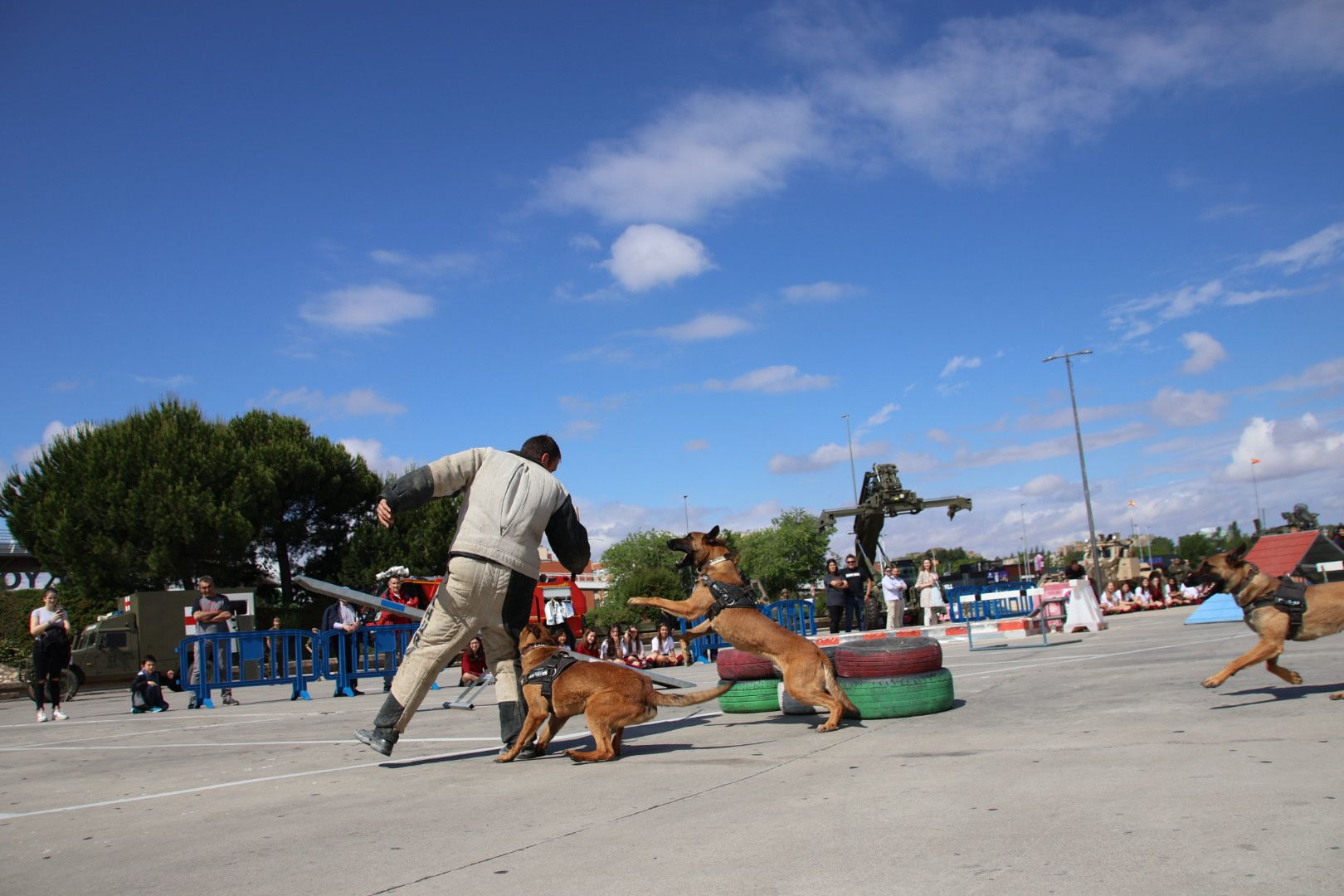 Centro militar de Cría Caballar de Ávila0401