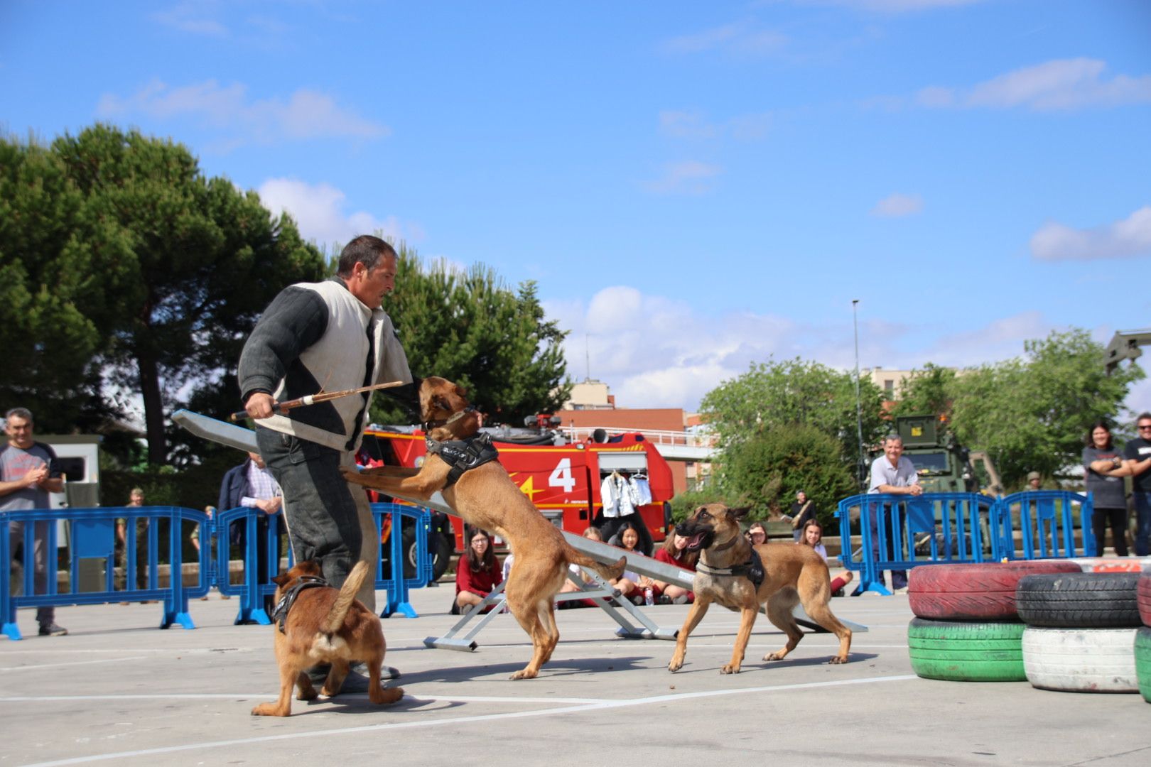 Centro militar de Cría Caballar de Ávila