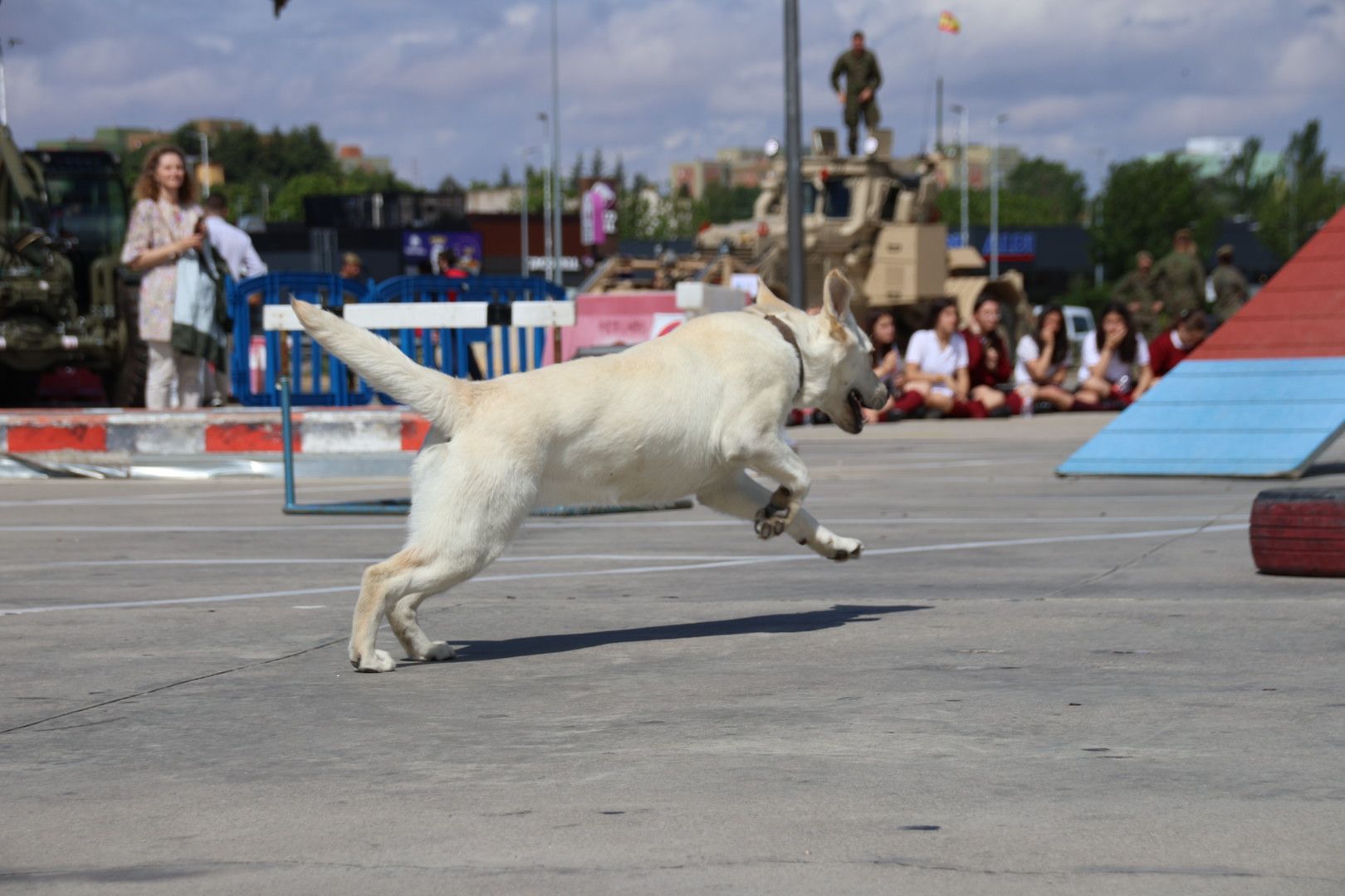 Centro militar de Cría Caballar de Ávila