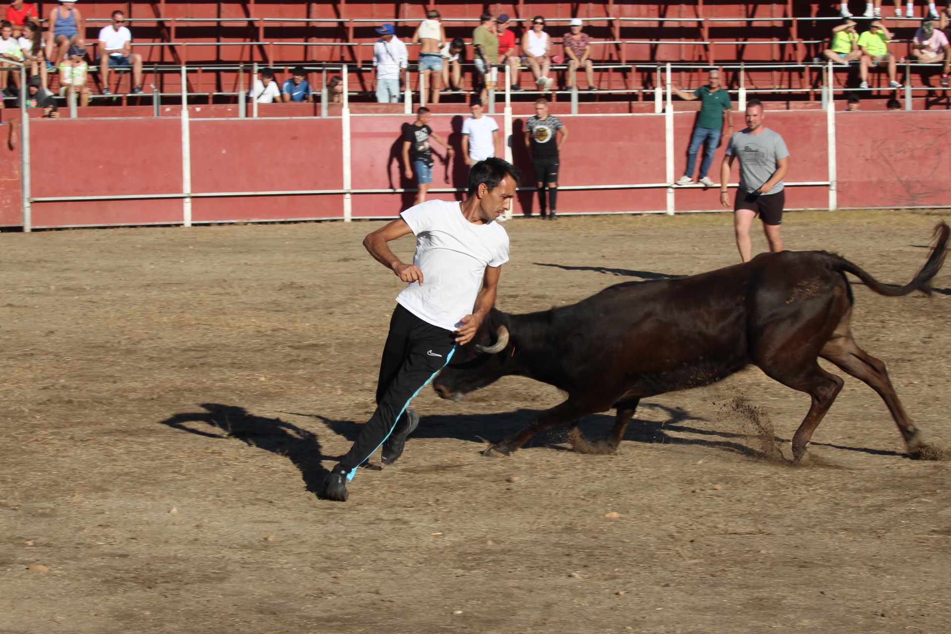 Capea en Santa Marta