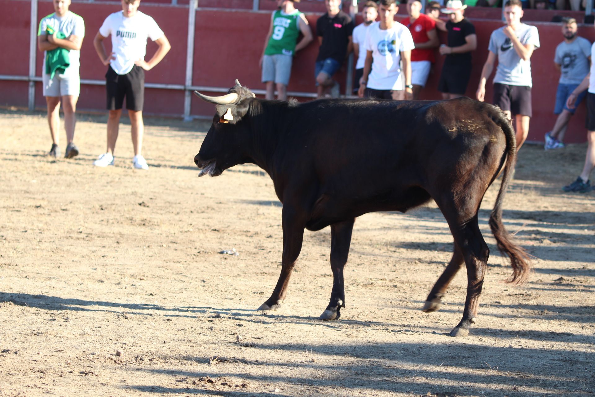 Capea en Santa Marta