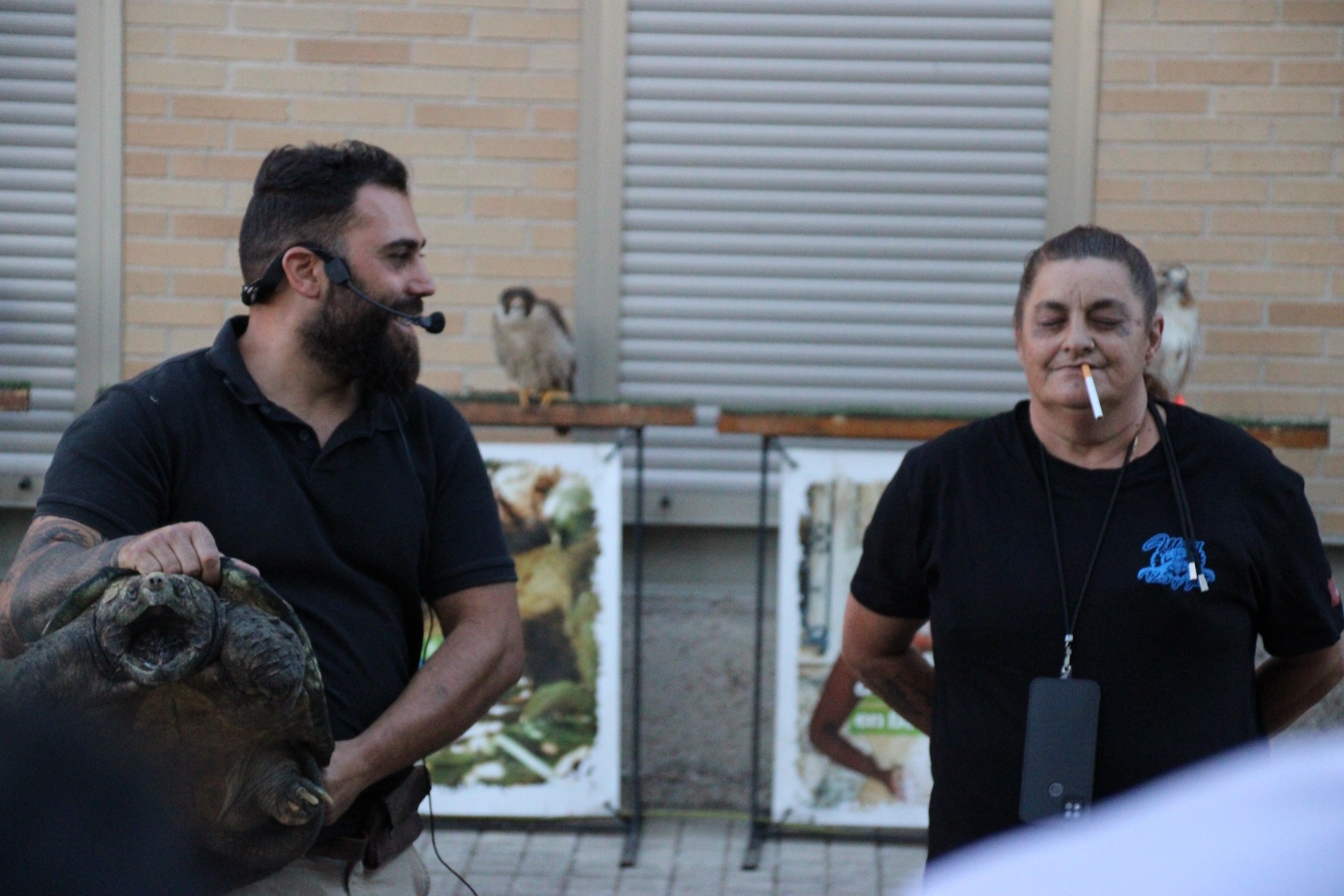 Demostración de cetrería por las fiestas patronales de Moriscos (3)