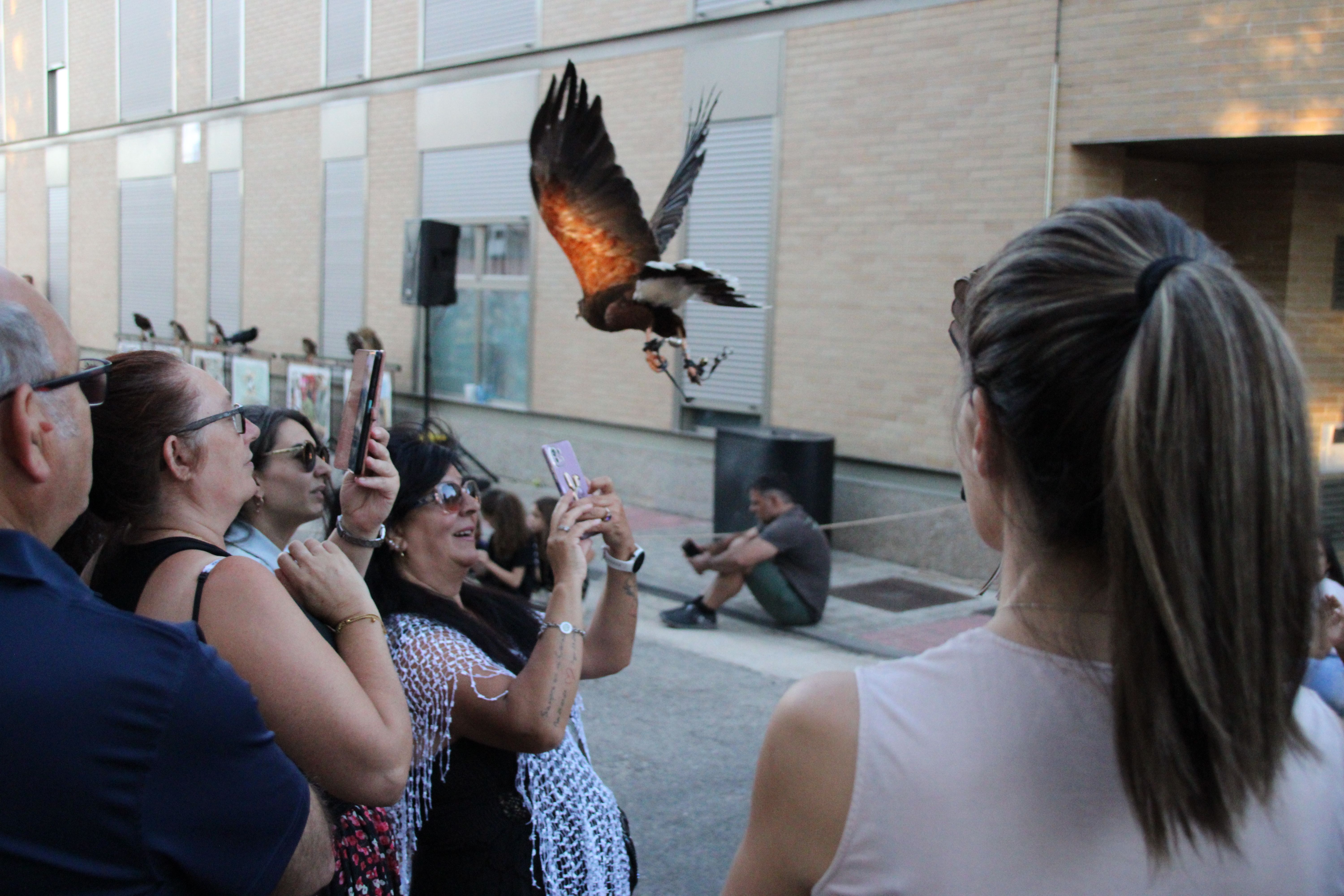 Demostración de cetrería por las fiestas patronales de Moriscos (11)