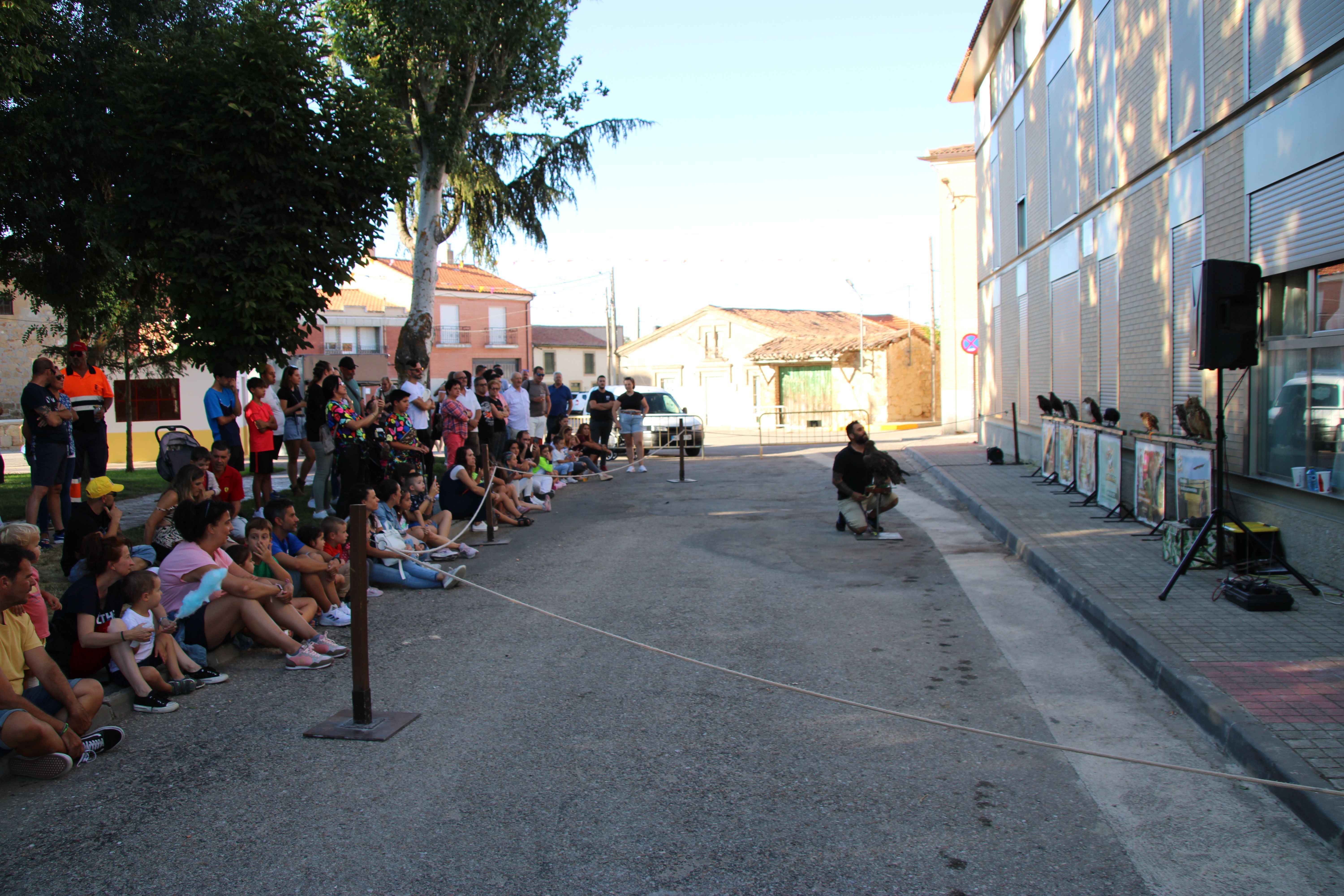 Demostración de cetrería por las fiestas patronales de Moriscos (18)