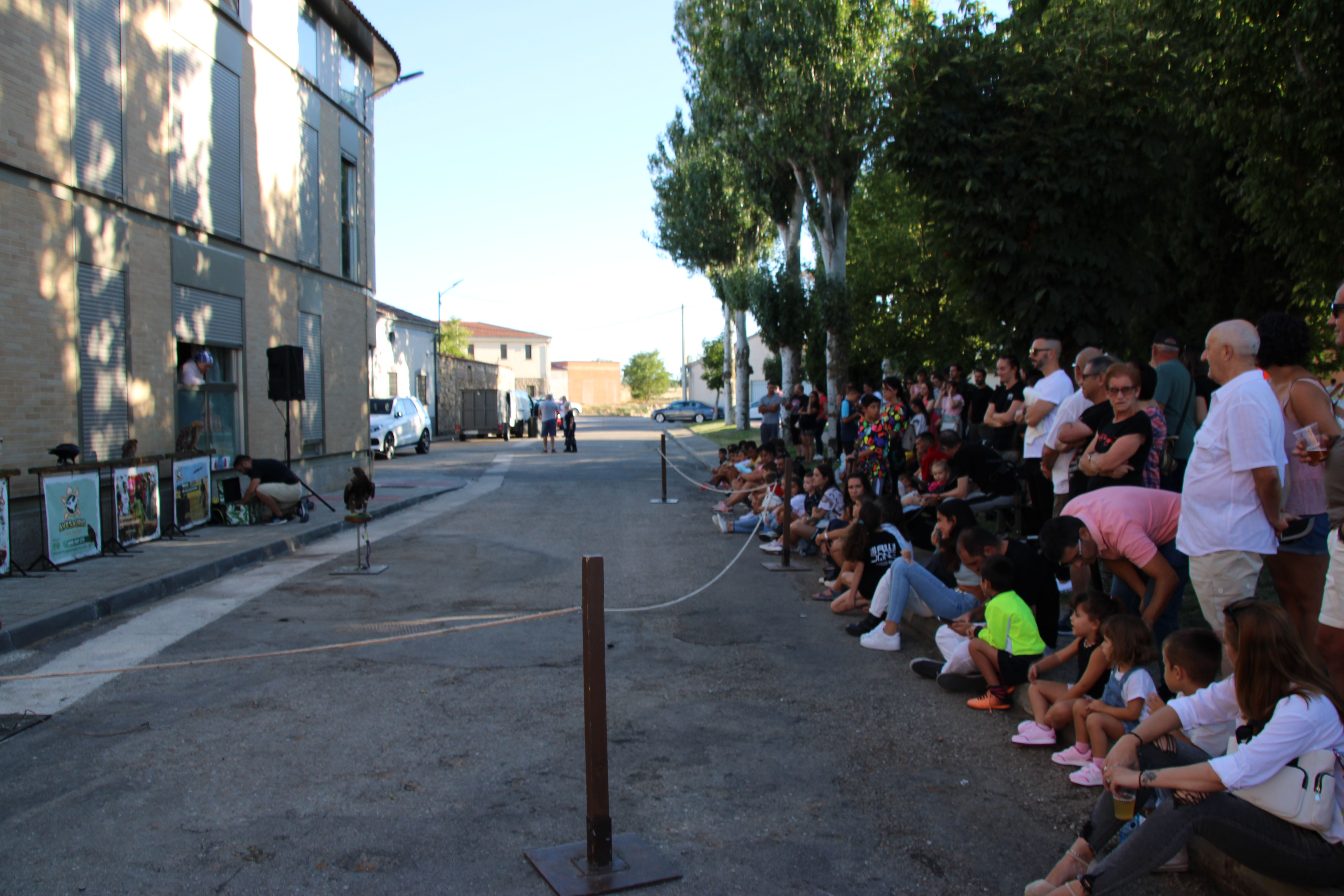 Demostración de cetrería por las fiestas patronales de Moriscos (20)