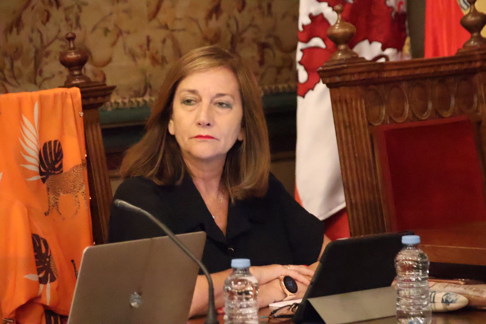 Carmen Ávila. Pleno Provincial en sesión ordinaria correspondiente al mes de agosto