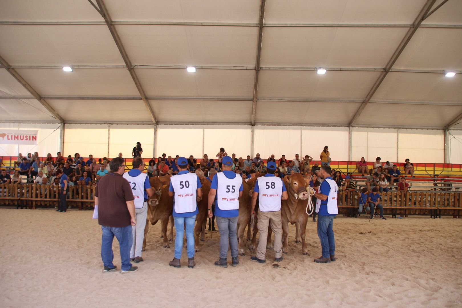 Concurso morfológico limusina6501