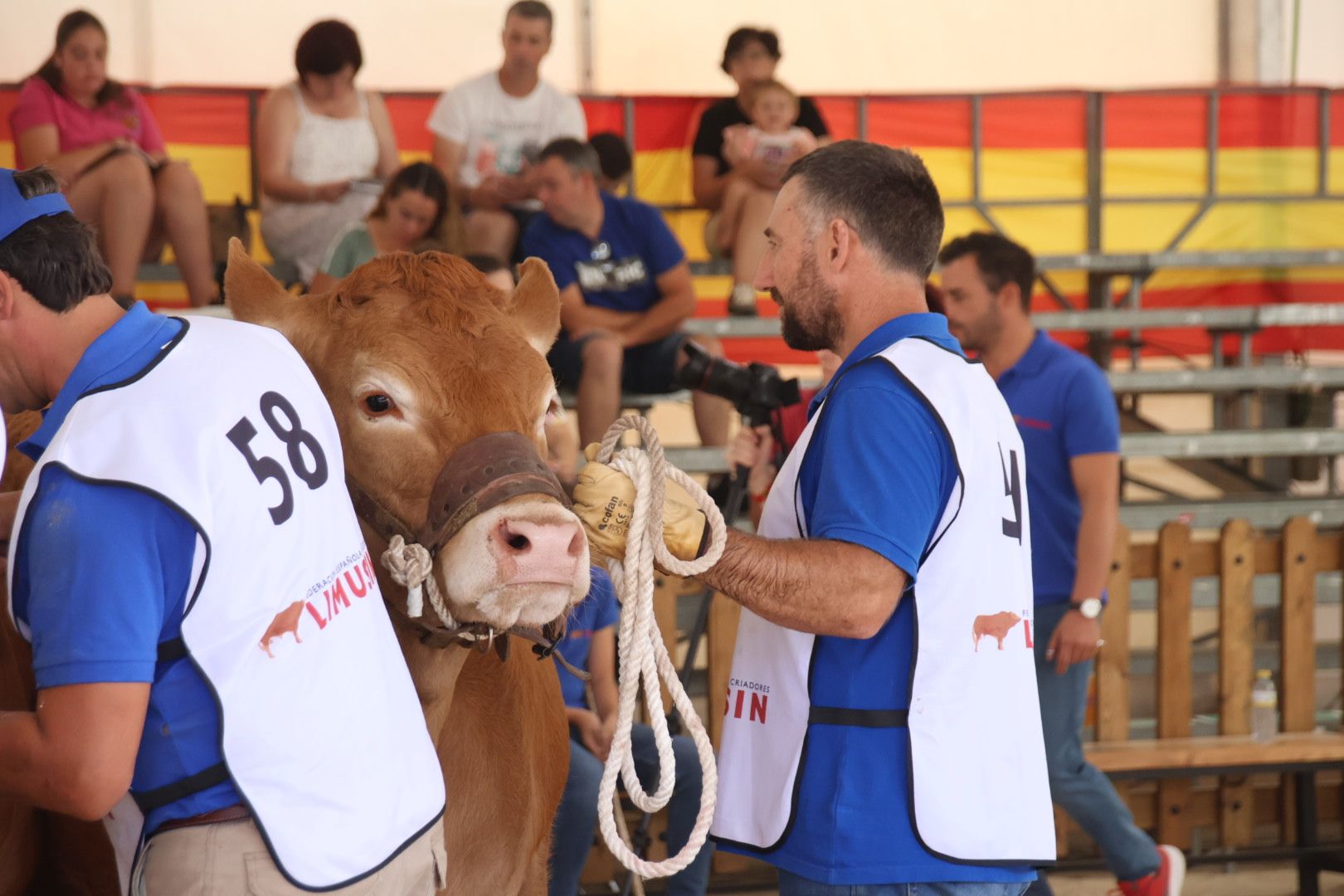 Concurso morfológico limusina 6500