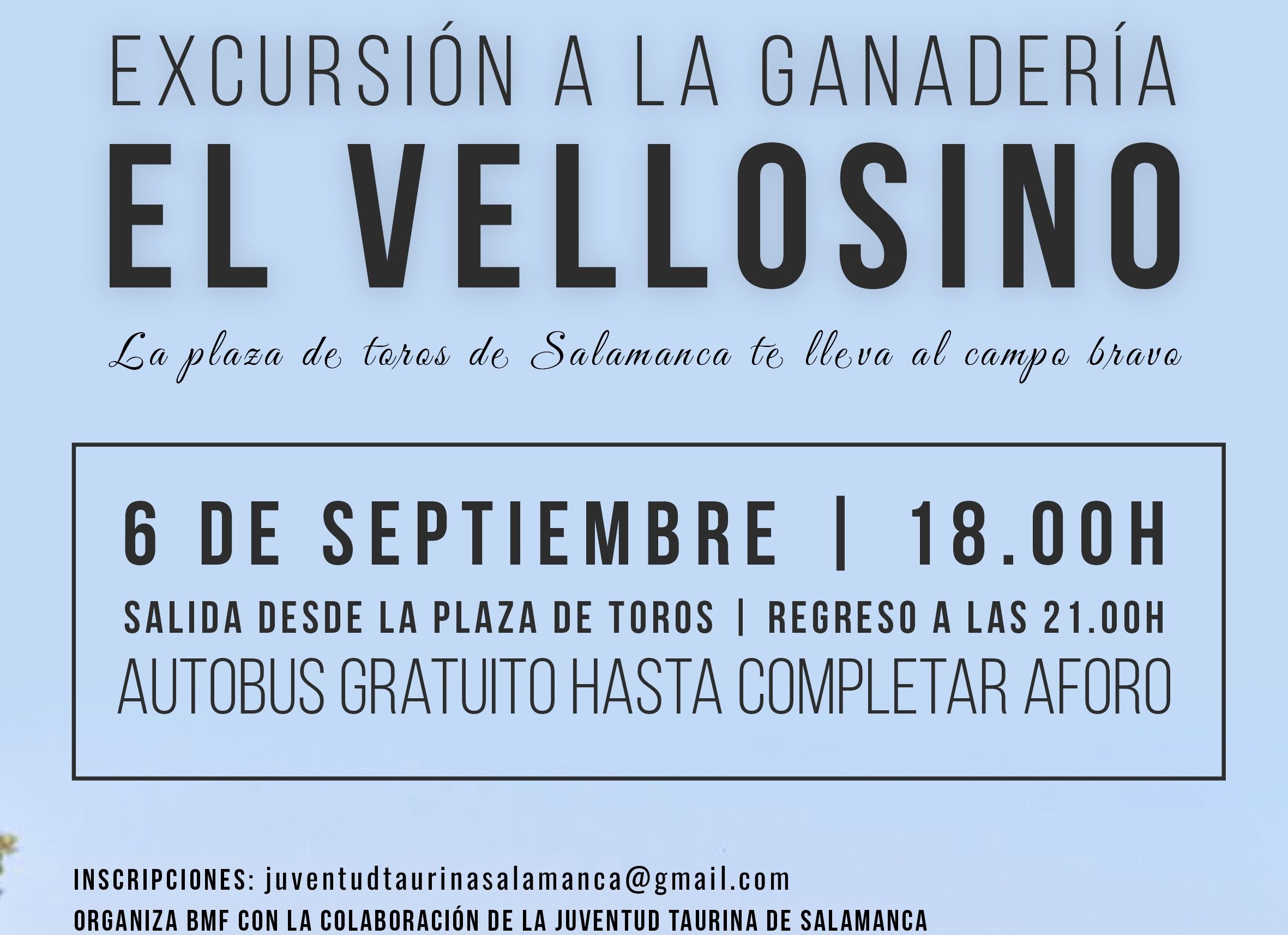 cartel vellosino copia