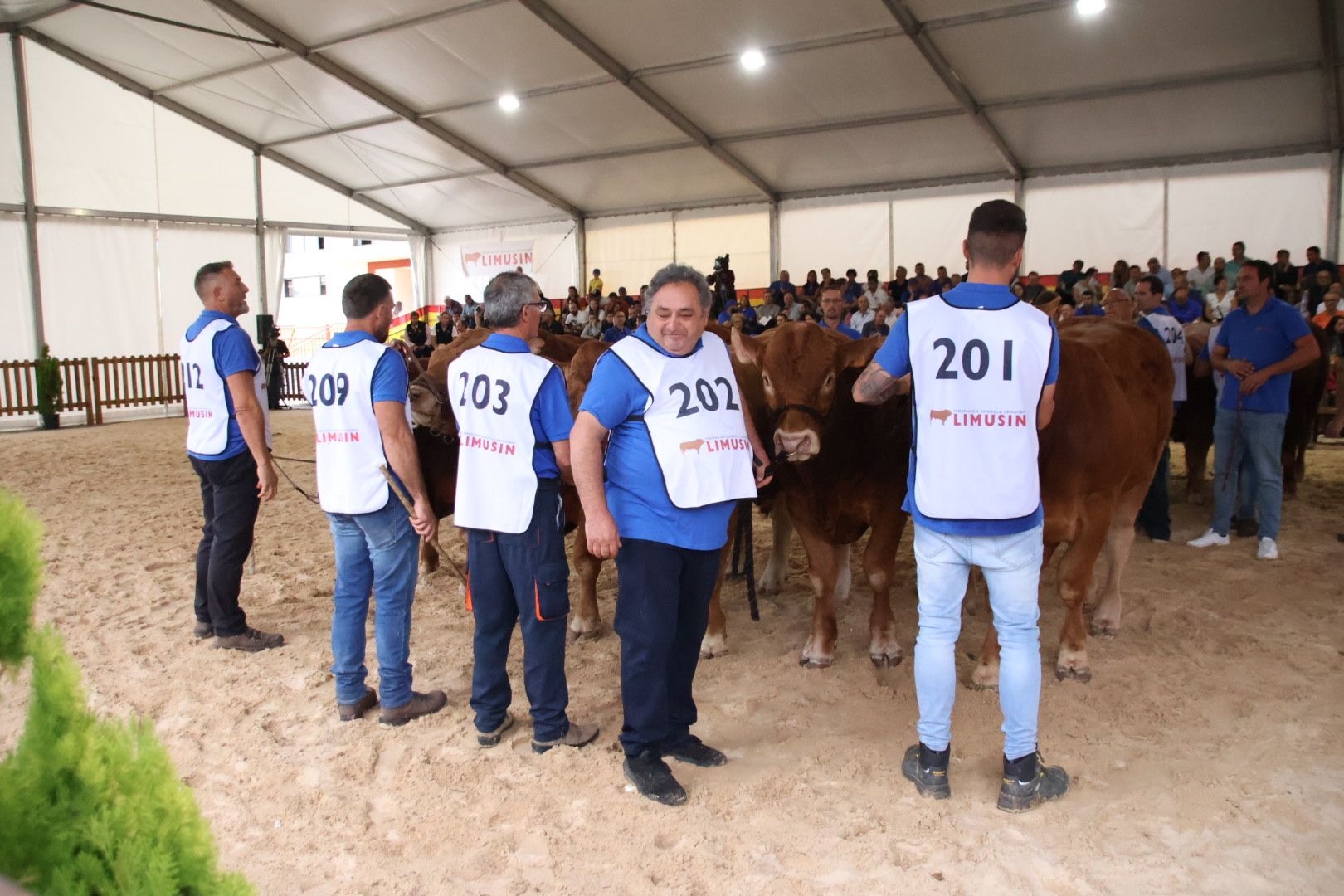 Concurso Morfológico Limusina