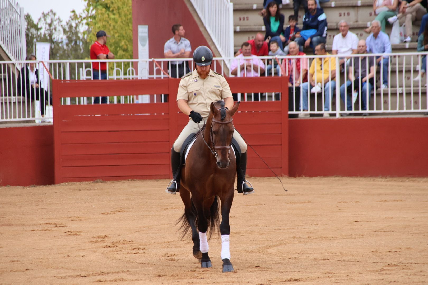 Exhibición de razas equinas del CMCC de Ávila