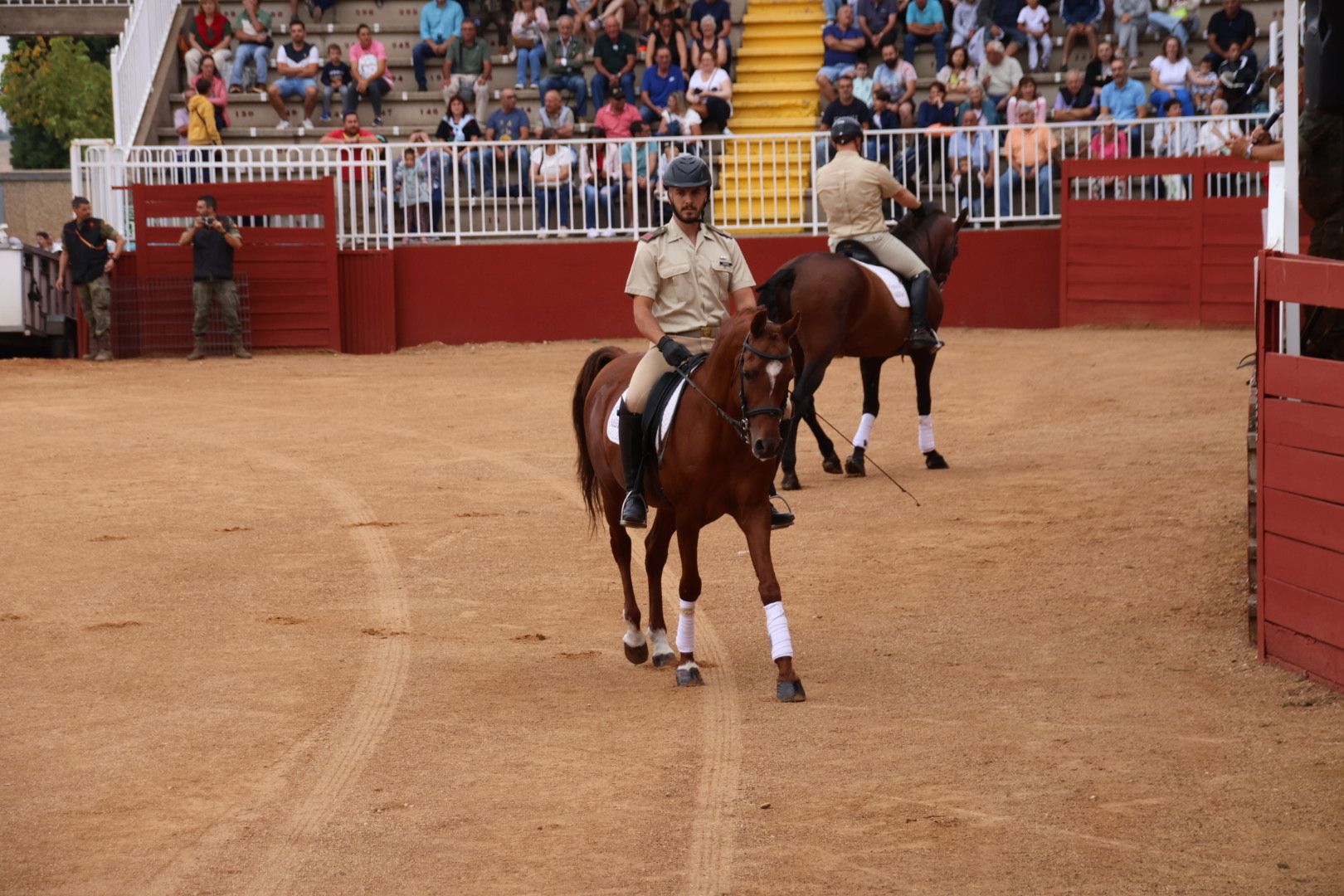 Exhibición de razas equinas del CMCC de Ávila