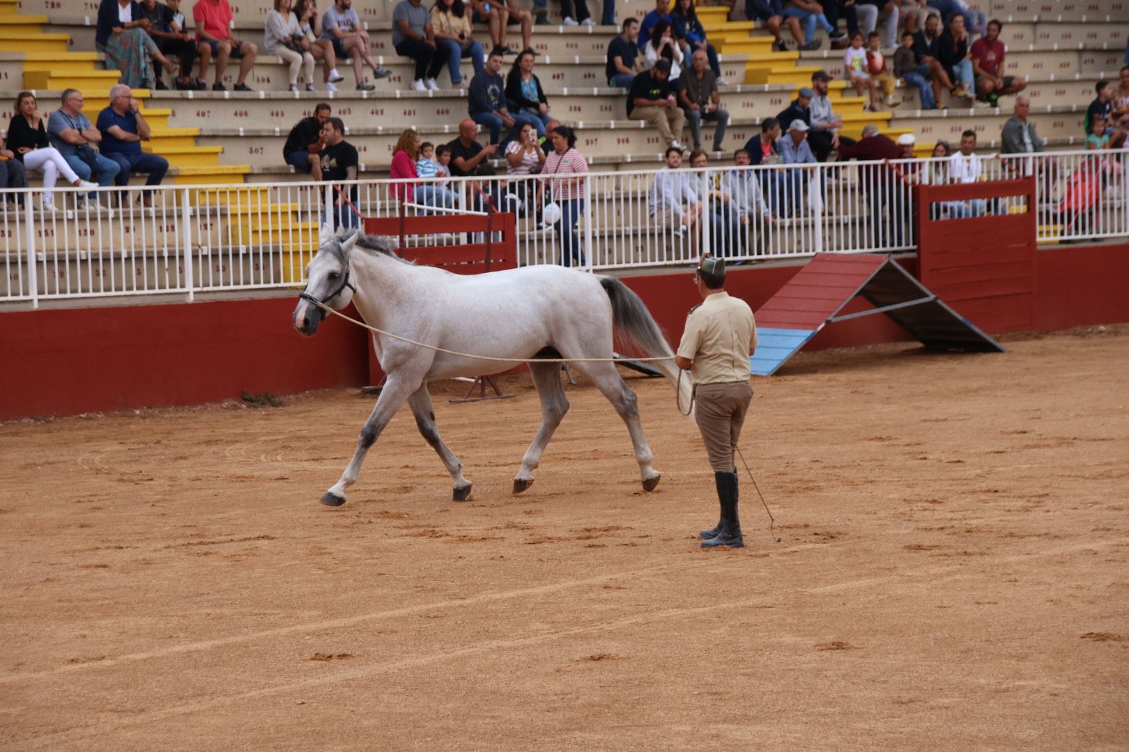 Exhibición de razas equinas del CMCC de Ávila