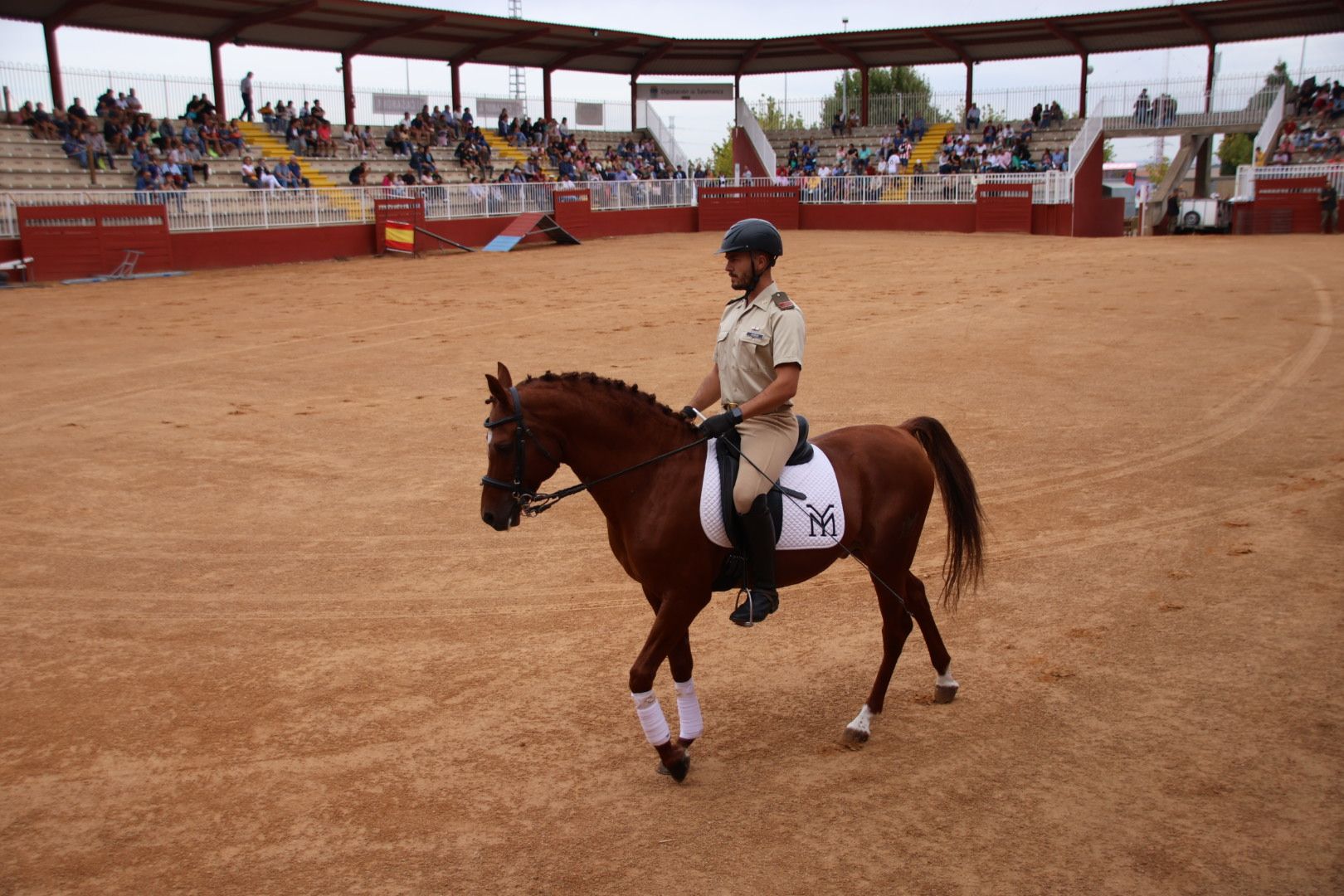 Exhibición de razas equinas del CMCC de Ávila