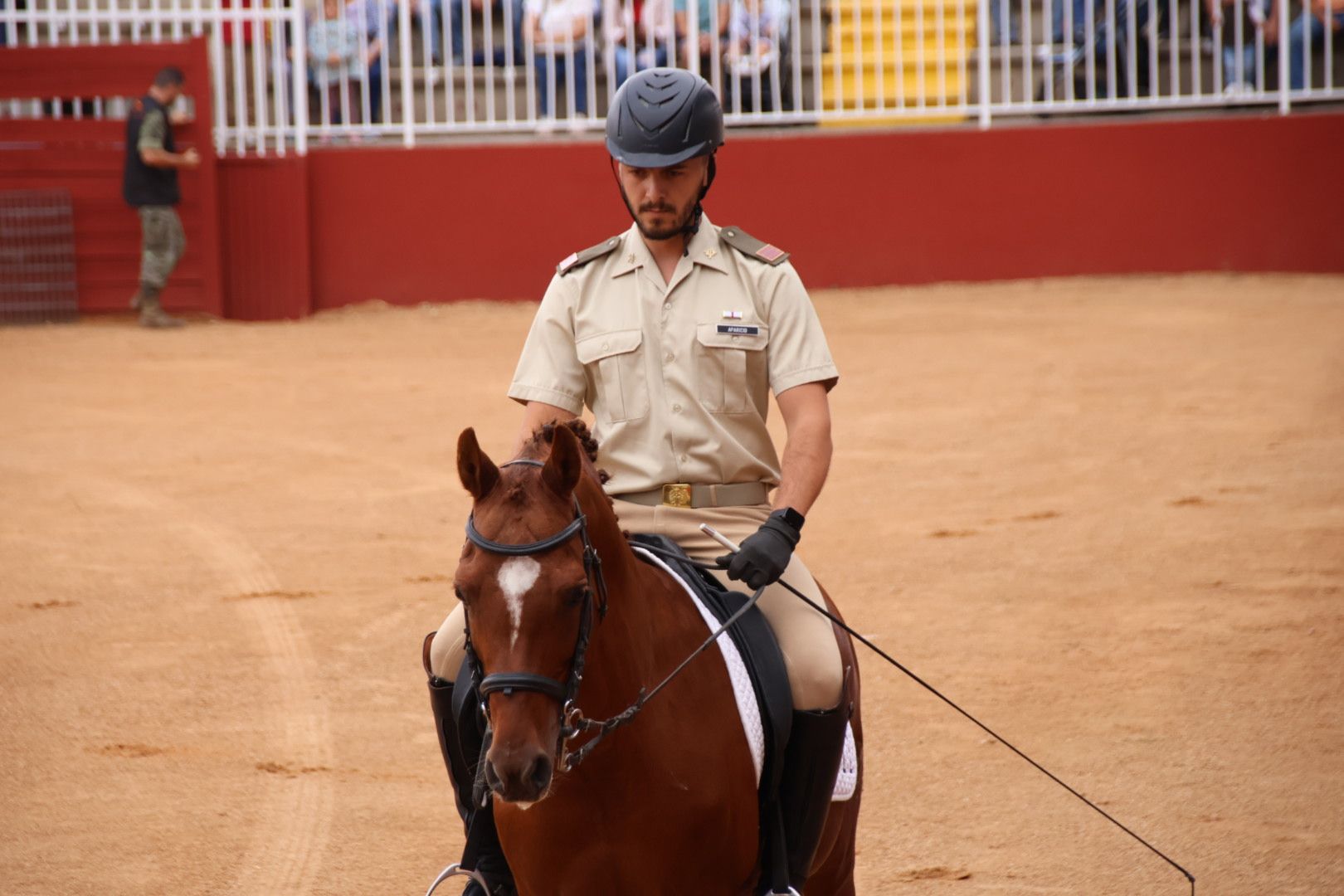 Exhibición de razas equinas del CMCC de Ávila