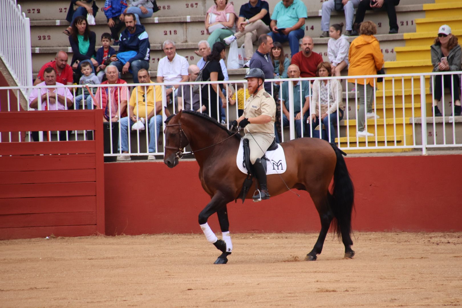 Exhibición de razas equinas del CMCC de Ávila