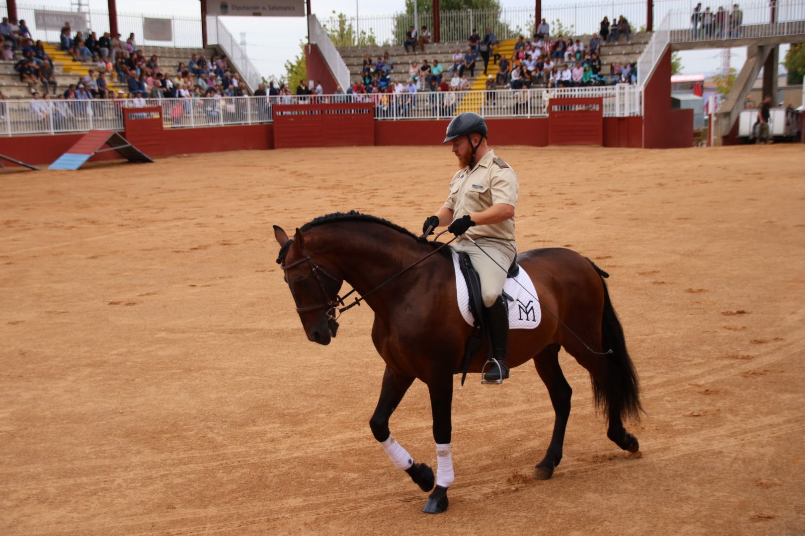 Exhibición de razas equinas del CMCC de Ávila