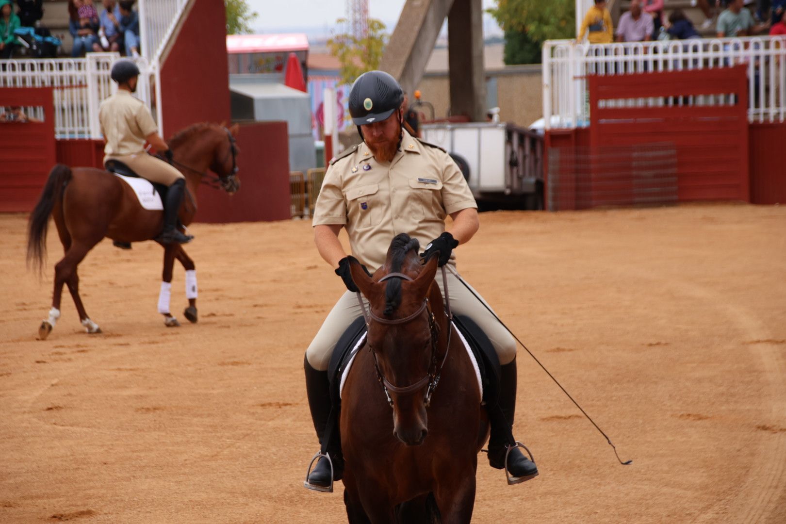 Exhibición de razas equinas del CMCC de Ávila