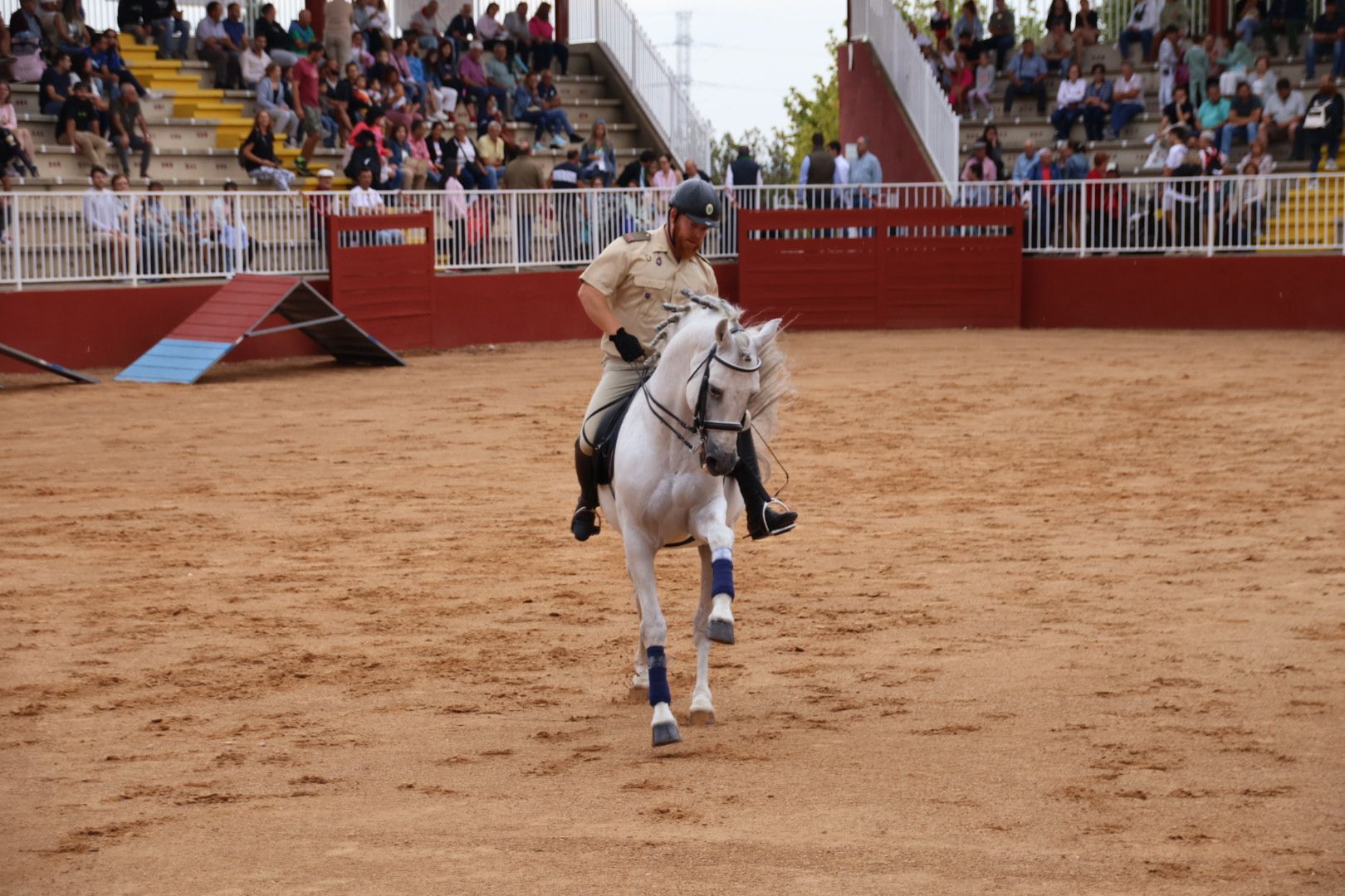 Exhibición de razas equinas del CMCC de Ávila. Fotos Andrea M.