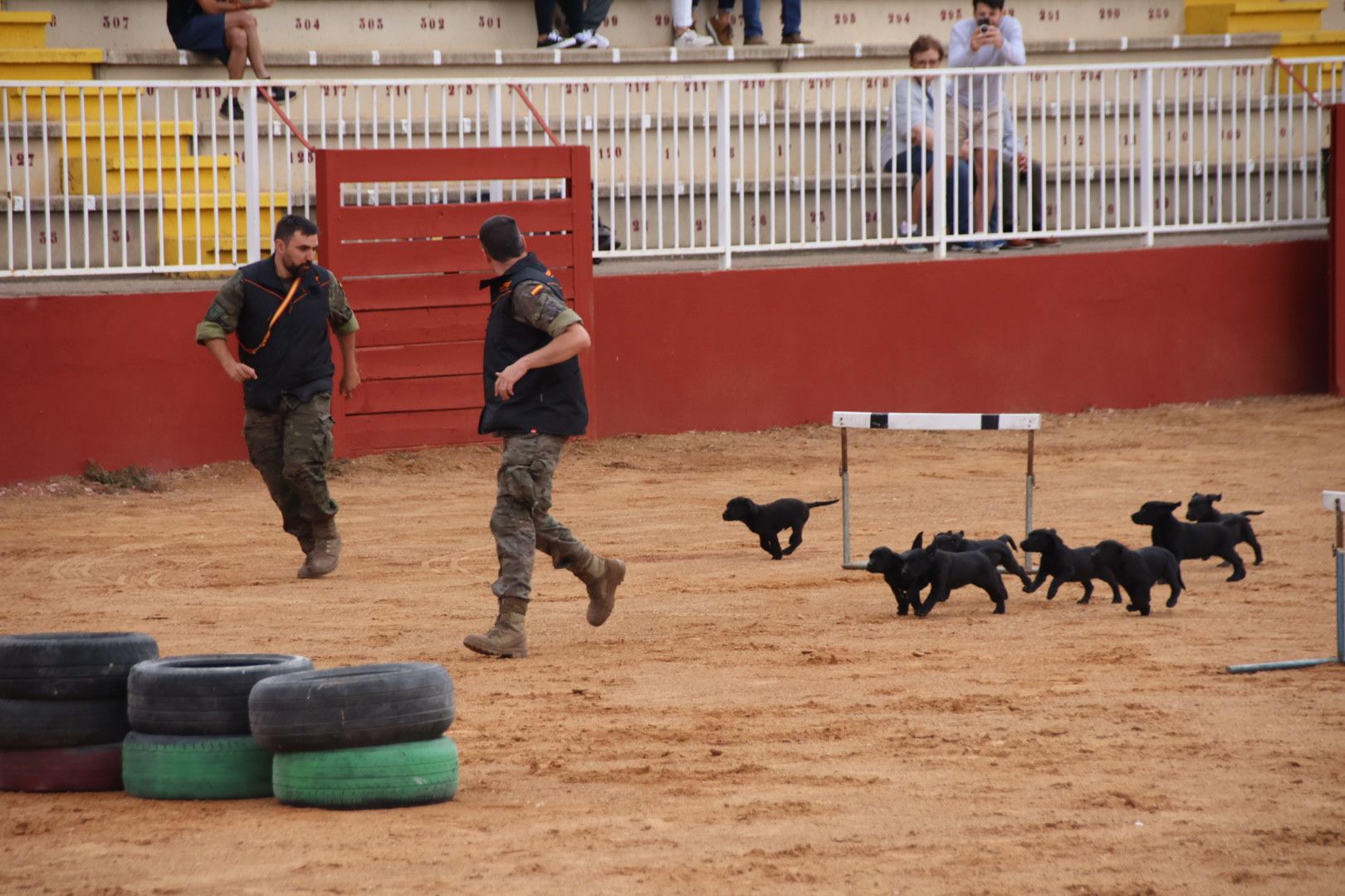 Exhibición unidad canina del CMCC de Ávila