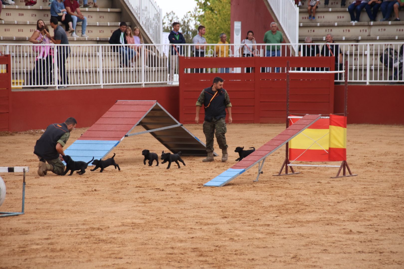 Exhibición unidad canina del CMCC de Ávila