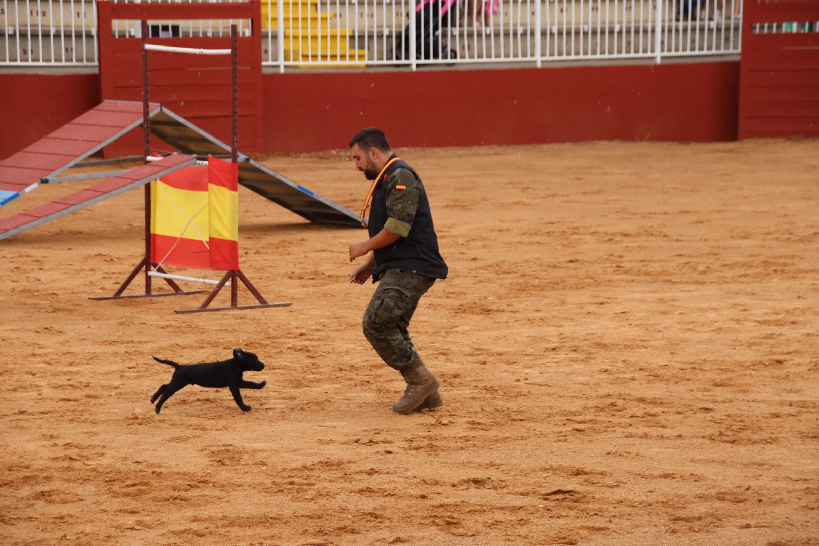 Exhibición unidad canina del CMCC de Ávila