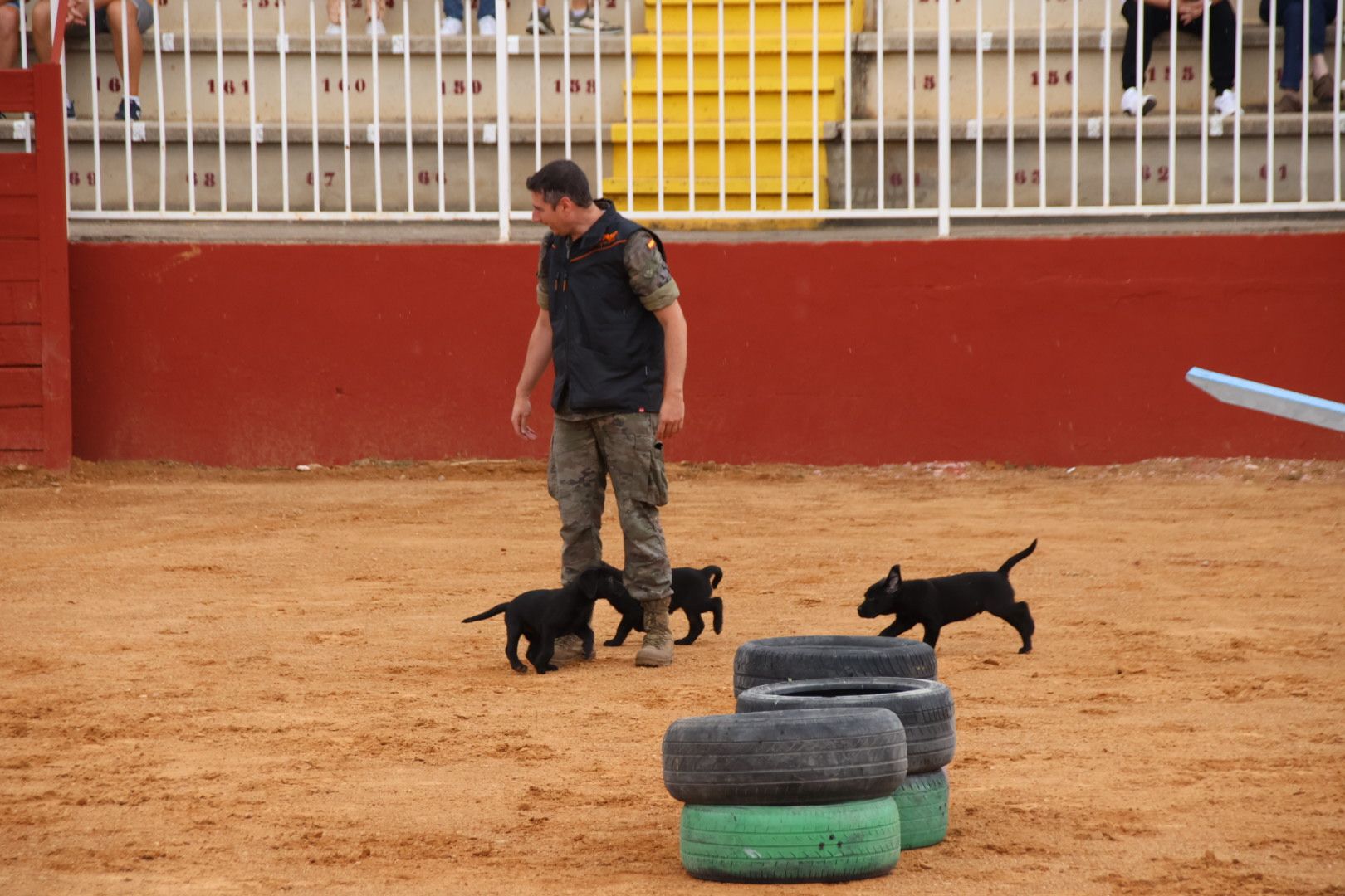 Exhibición unidad canina del CMCC de Ávila