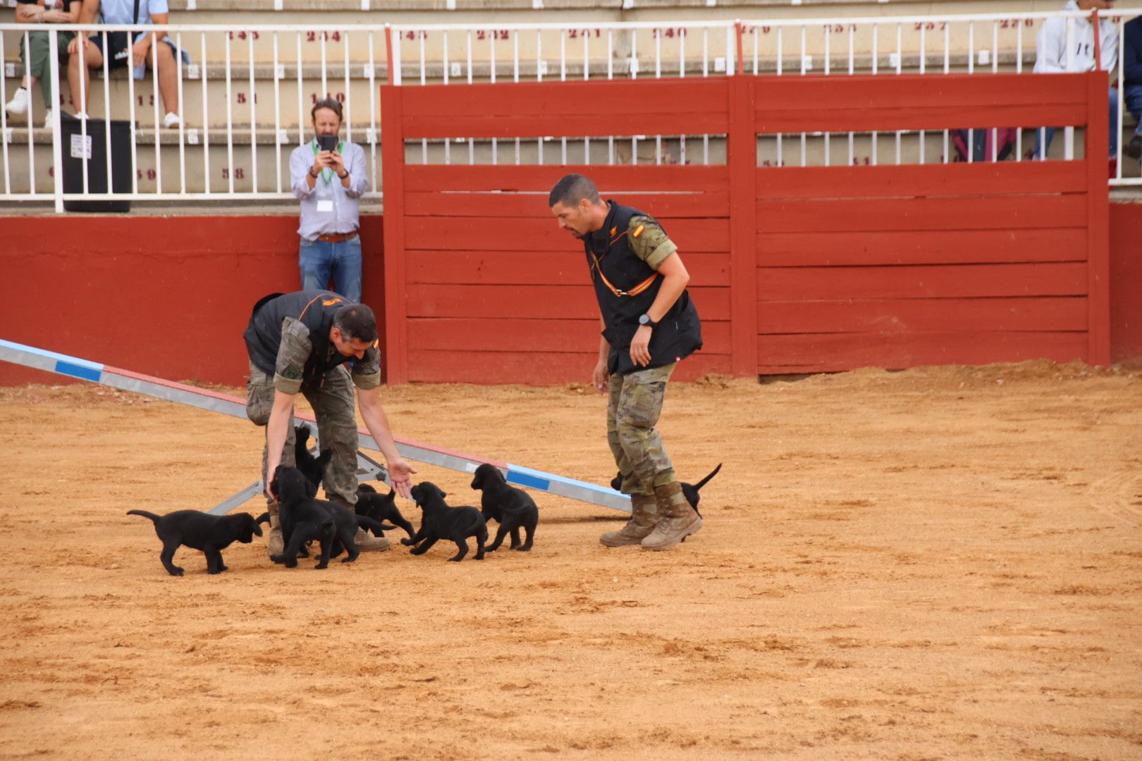 Exhibición unidad canina del CMCC de Ávila