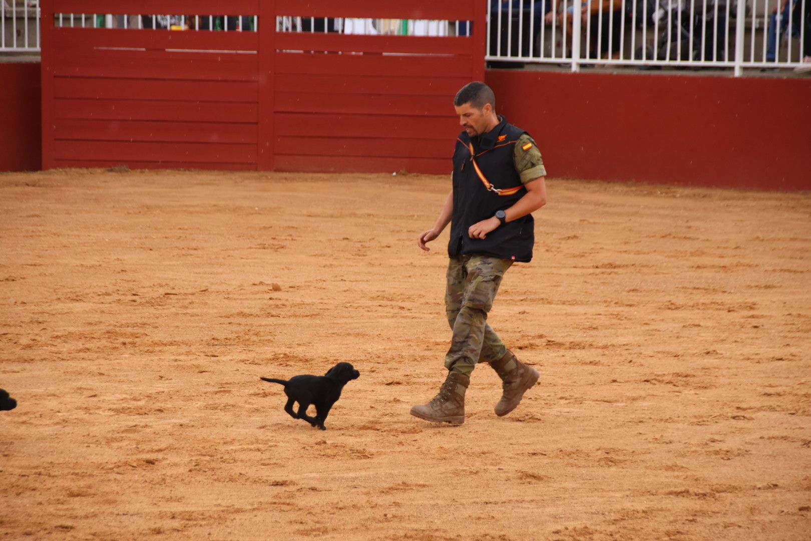 Exhibición unidad canina del CMCC de Ávila