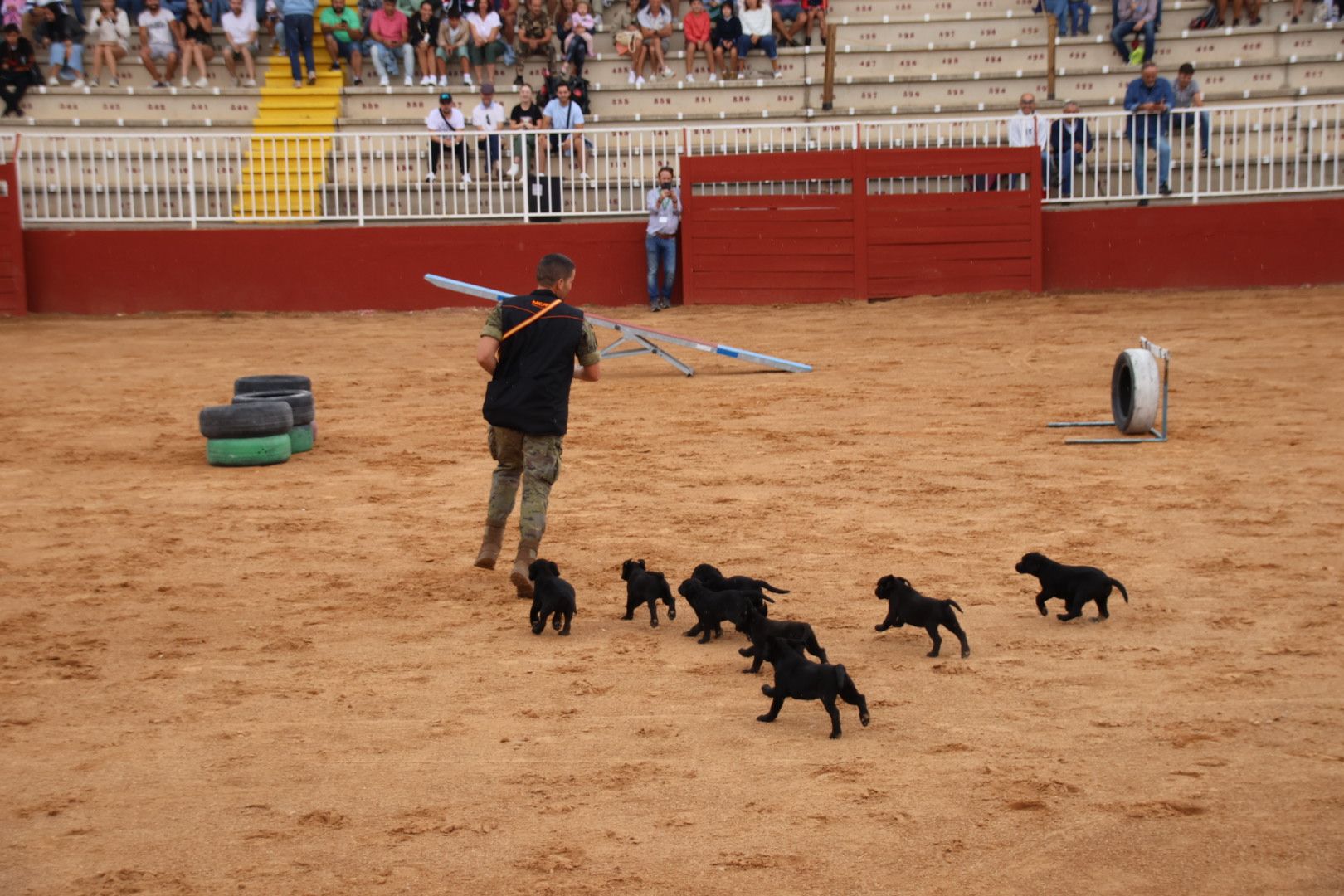 Exhibición unidad canina del CMCC de Ávila