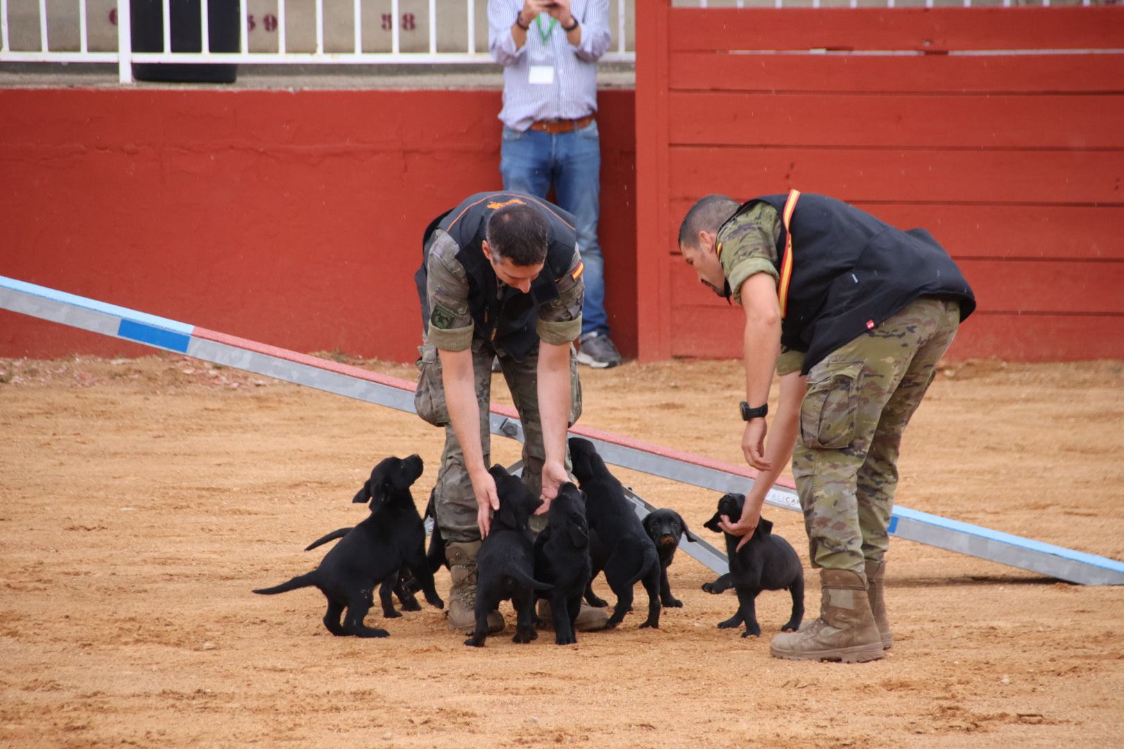 Exhibición unidad canina del CMCC de Ávila7121