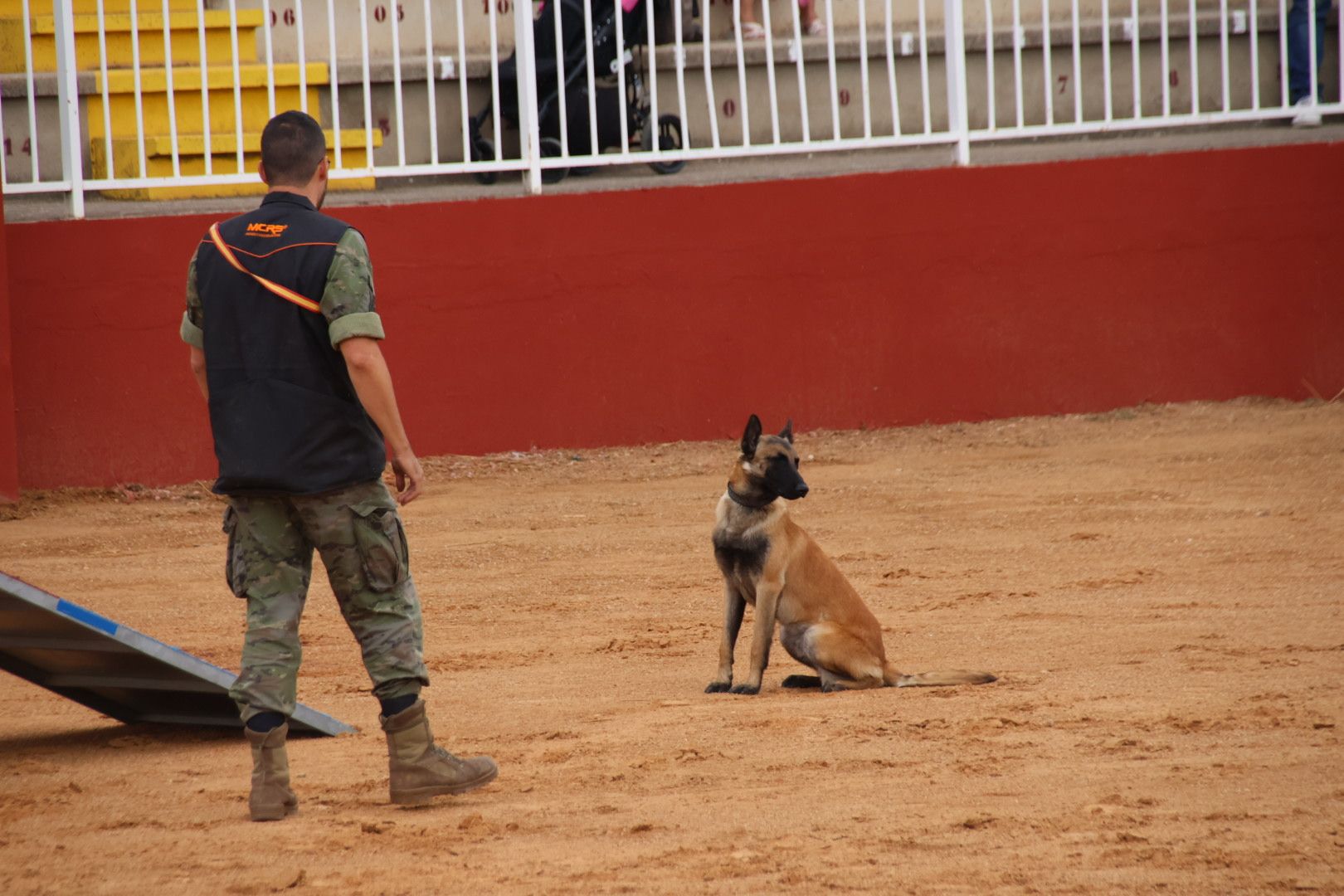 Exhibición unidad canina del CMCC de Ávila