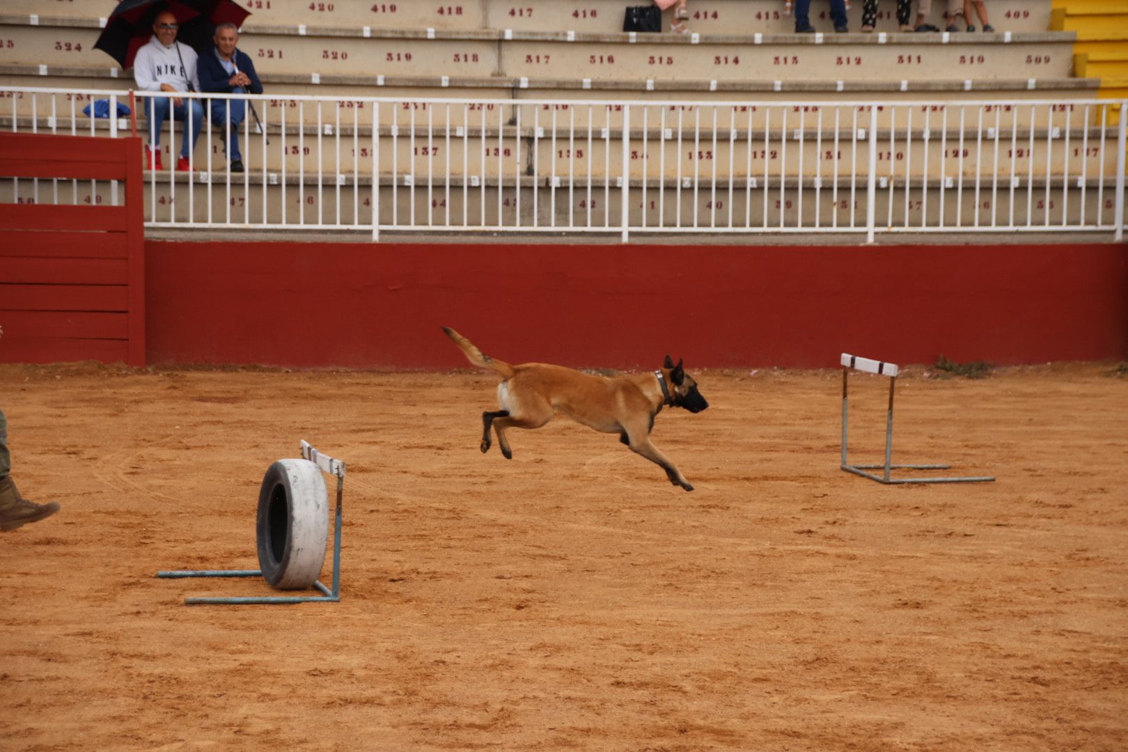 Exhibición unidad canina del CMCC de Ávila