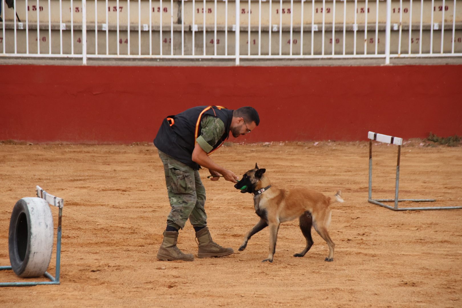 Exhibición unidad canina del CMCC de Ávila7141