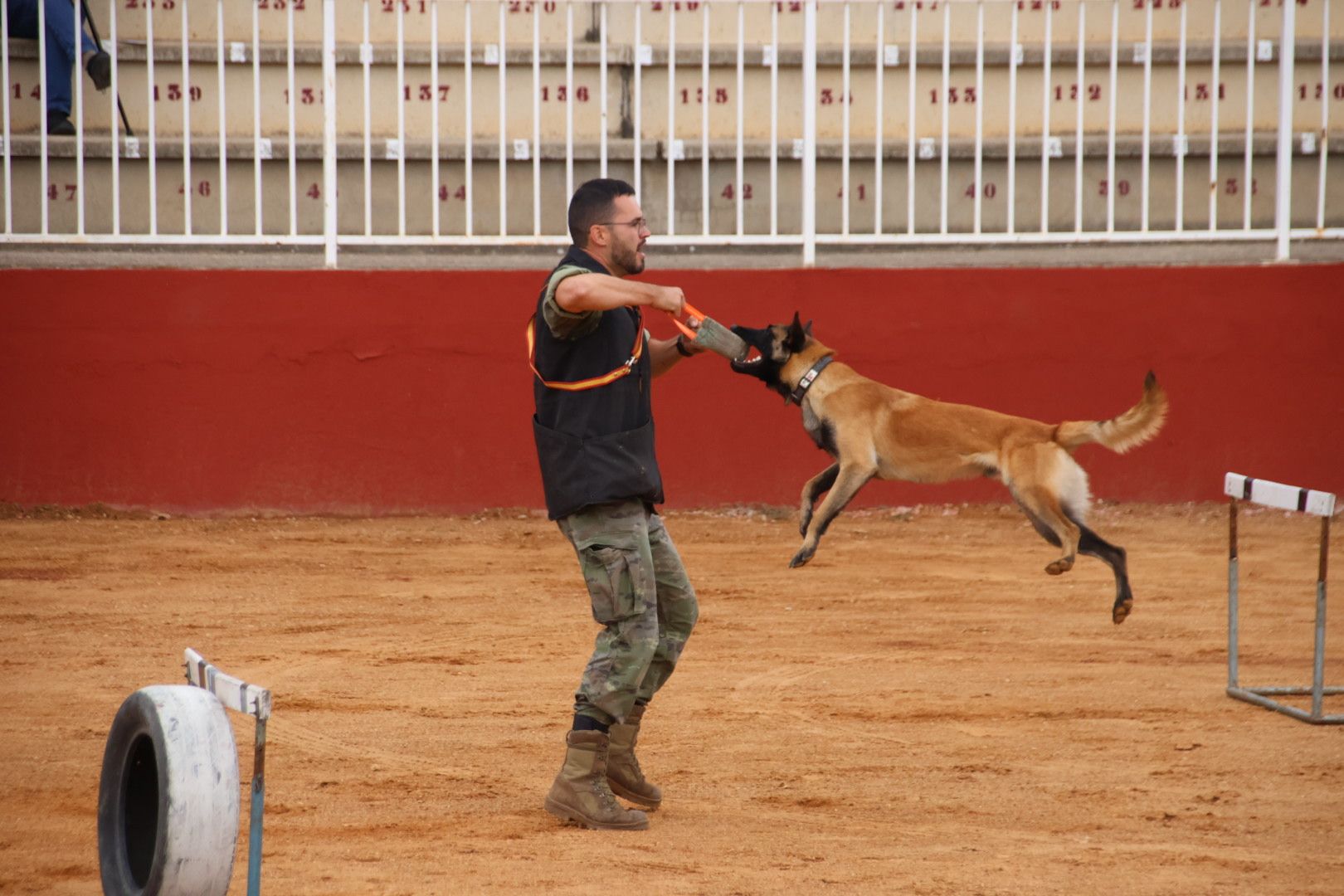 Exhibición unidad canina del CMCC de Ávila