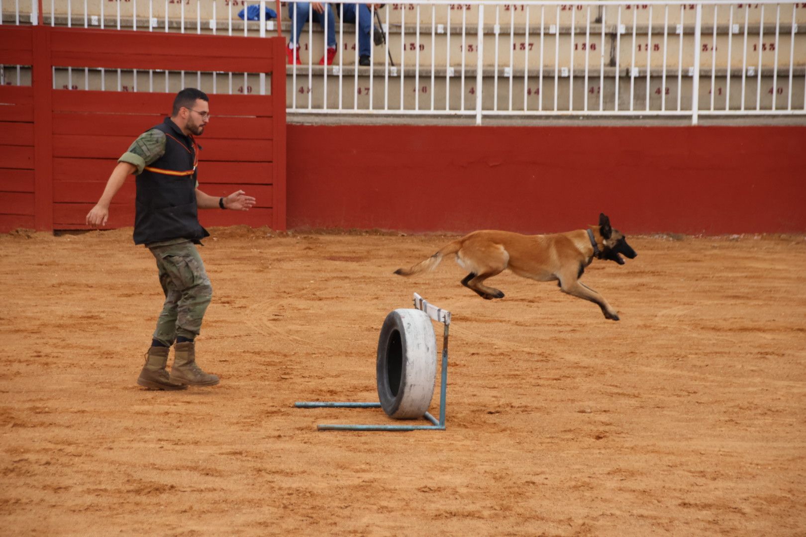 Exhibición unidad canina del CMCC de Ávila