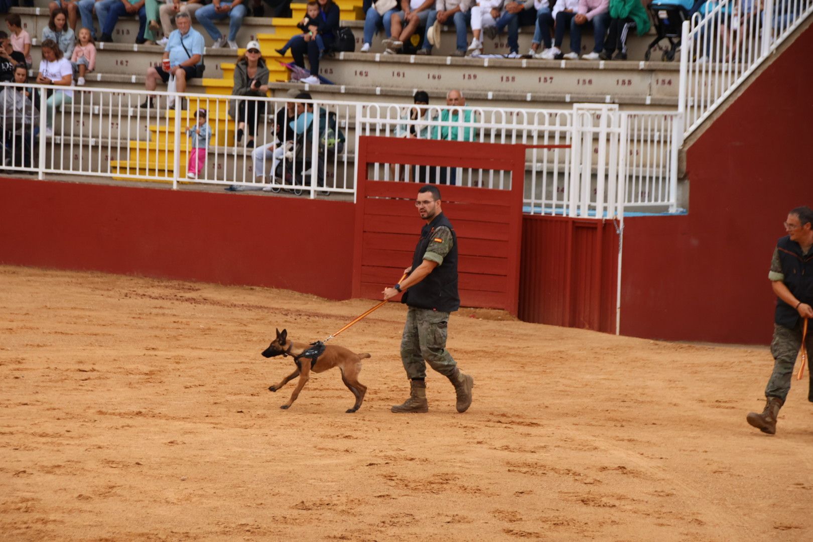 Exhibición unidad canina del CMCC de Ávila