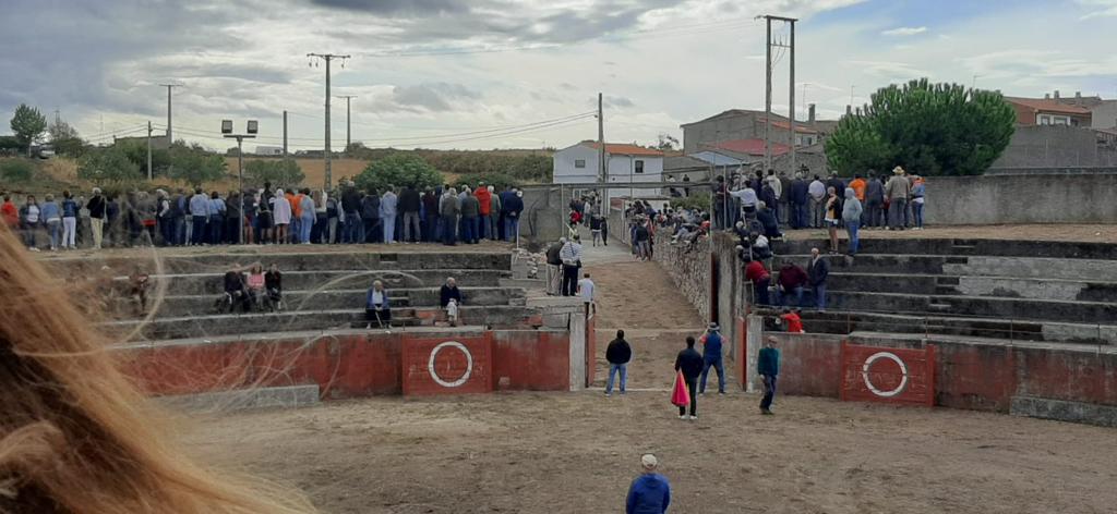 Segundo encierro en Pereña de la Ribera. Fotos S24H (6)