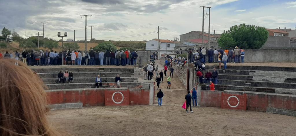 Segundo encierro en Pereña de la Ribera. Fotos S24H (8)