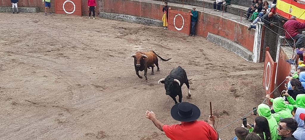 Segundo encierro en Pereña de la Ribera. Fotos S24H (11)