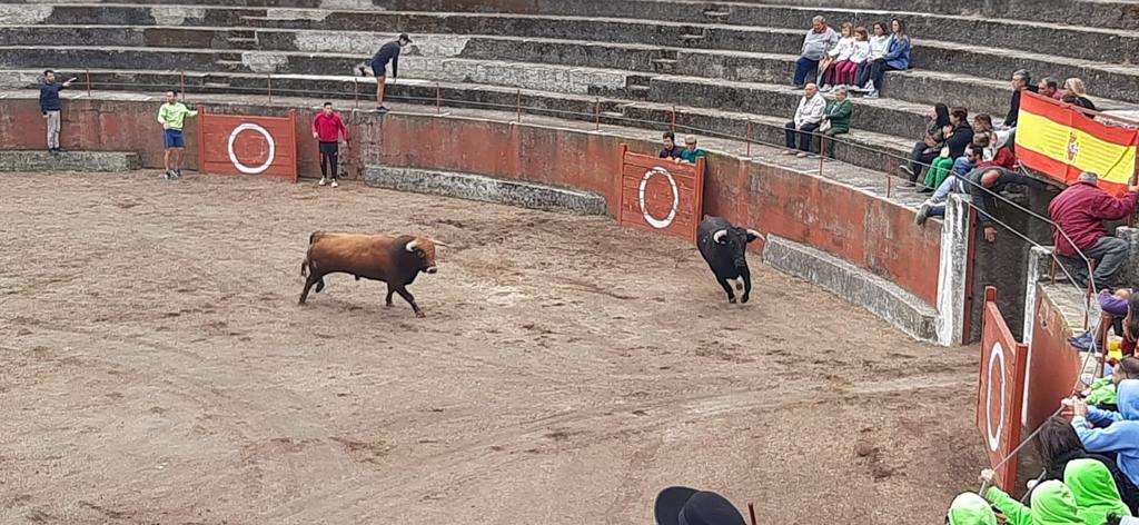 Segundo encierro en Pereña de la Ribera. Fotos S24H (12)