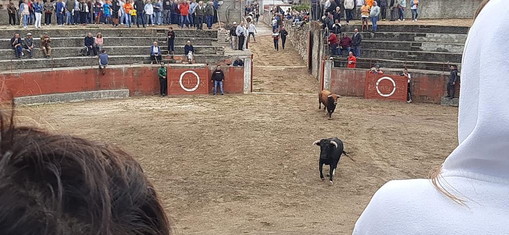 Segundo encierro en Pereña de la Ribera. Fotos S24H (14)