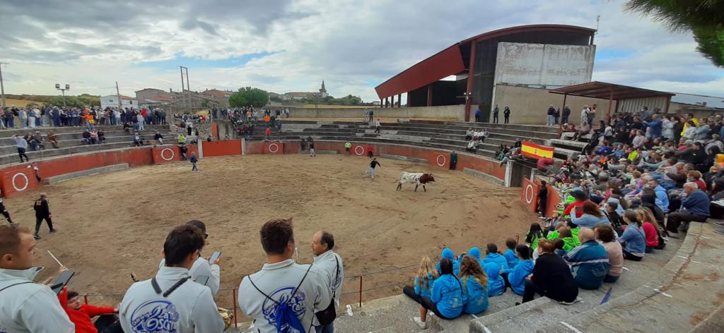 Segundo encierro en Pereña de la Ribera. Fotos S24H (17)