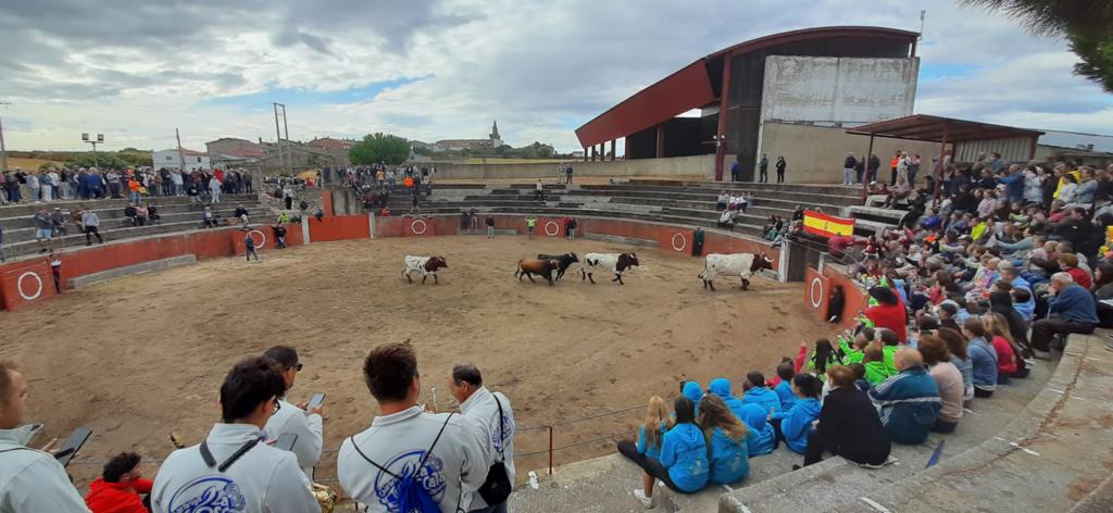 Segundo encierro en Pereña de la Ribera. Fotos S24H (18)