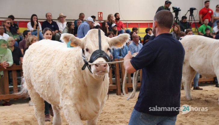 Concursos morfológicos en salamaq 