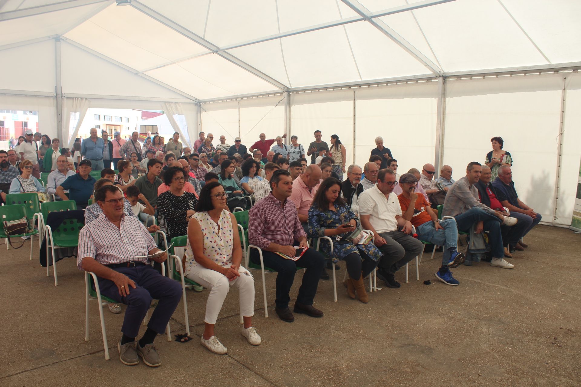 Ambiente en el cuarto día de Salamaq