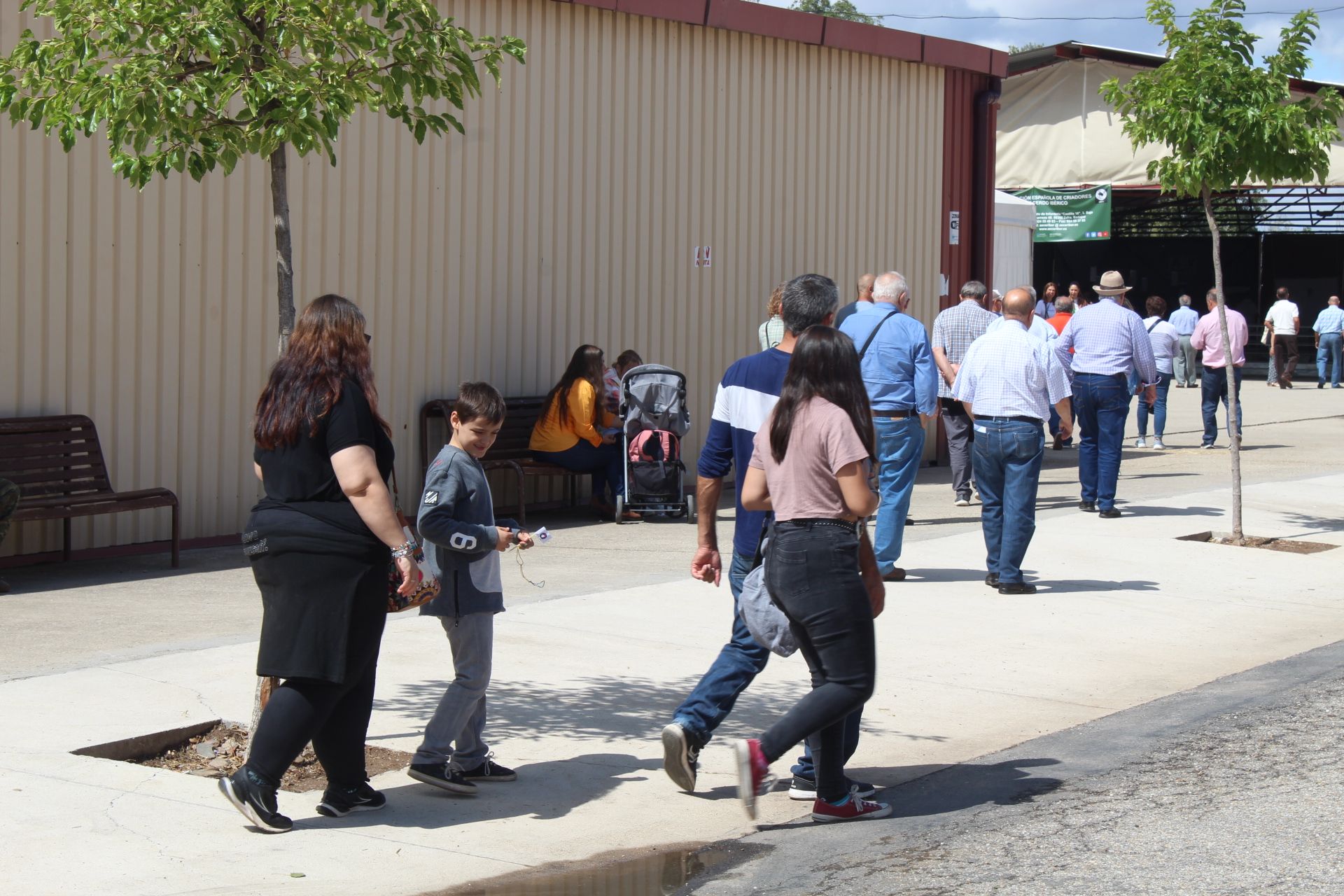 Ambiente en el cuarto día de Salamaq