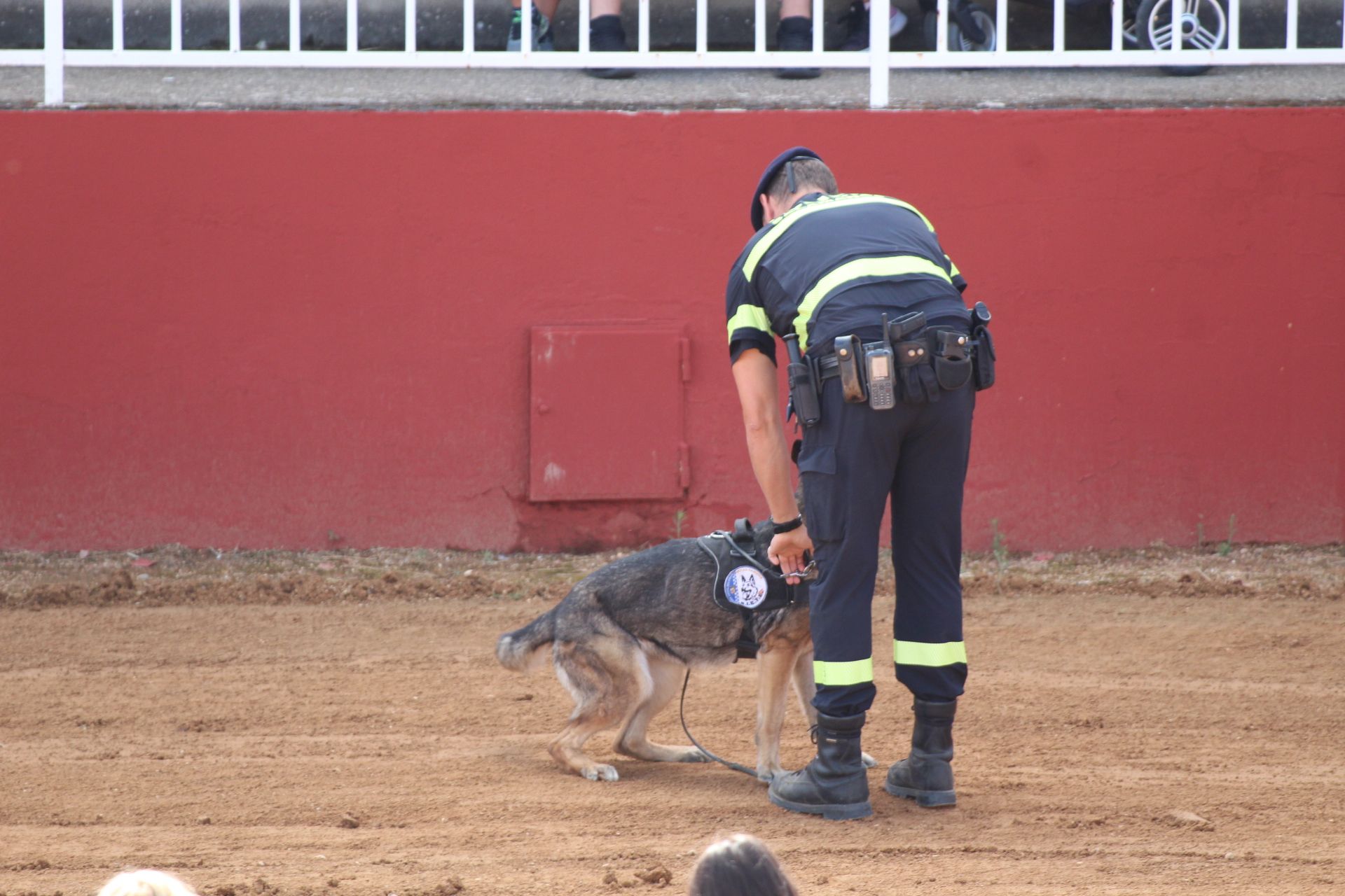 Exhibición de perros de la Policía Local