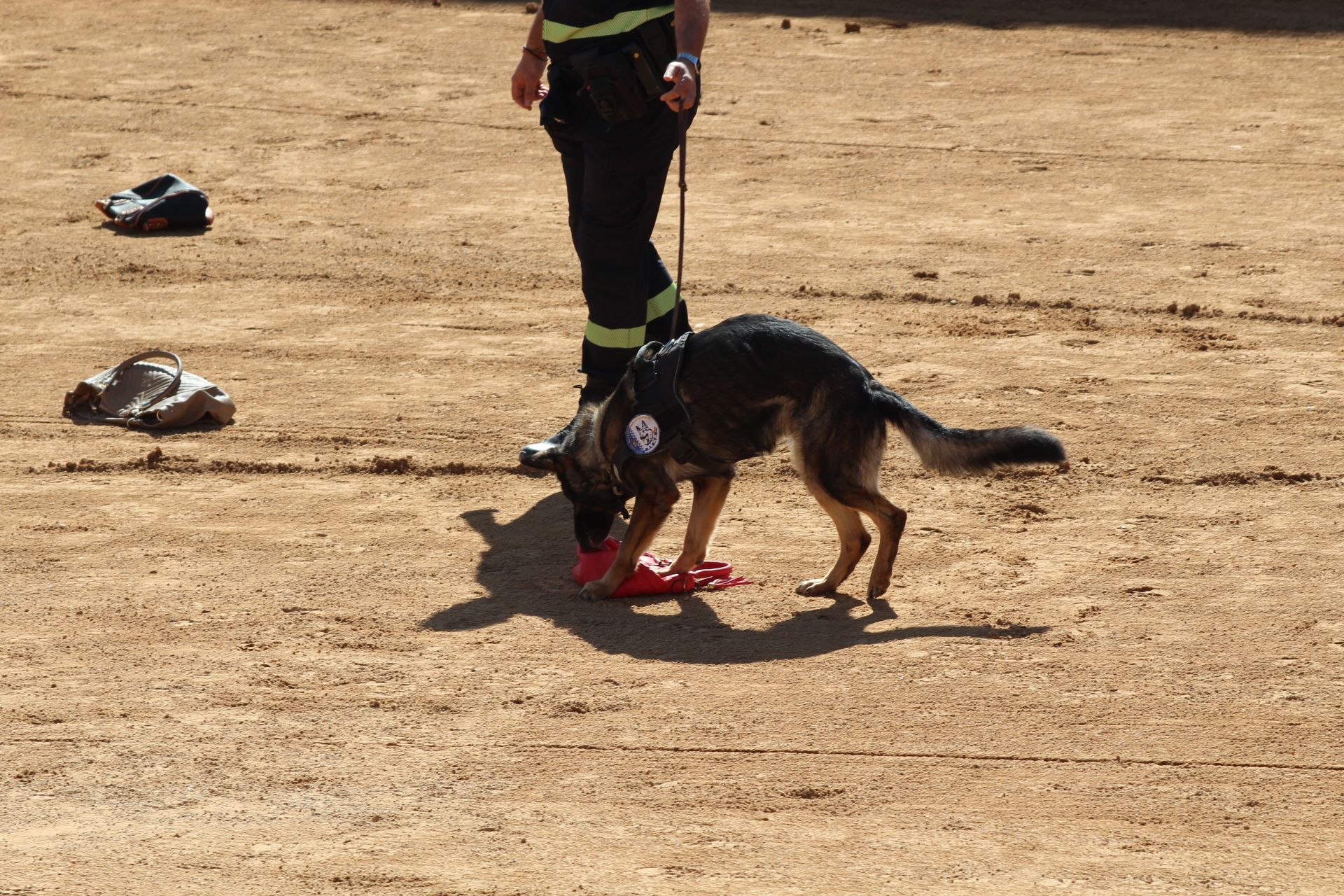 Exhibición de perros de la Policía Local